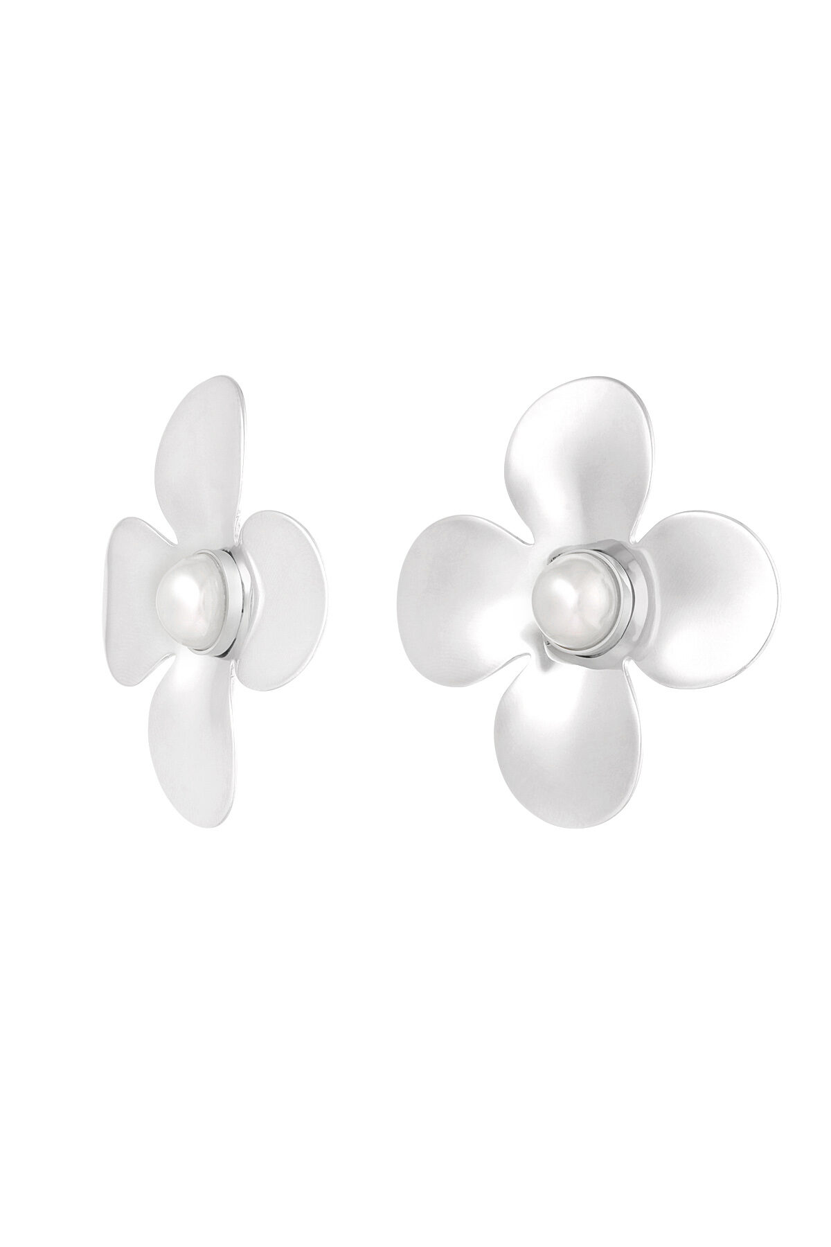 couleur argent Image2