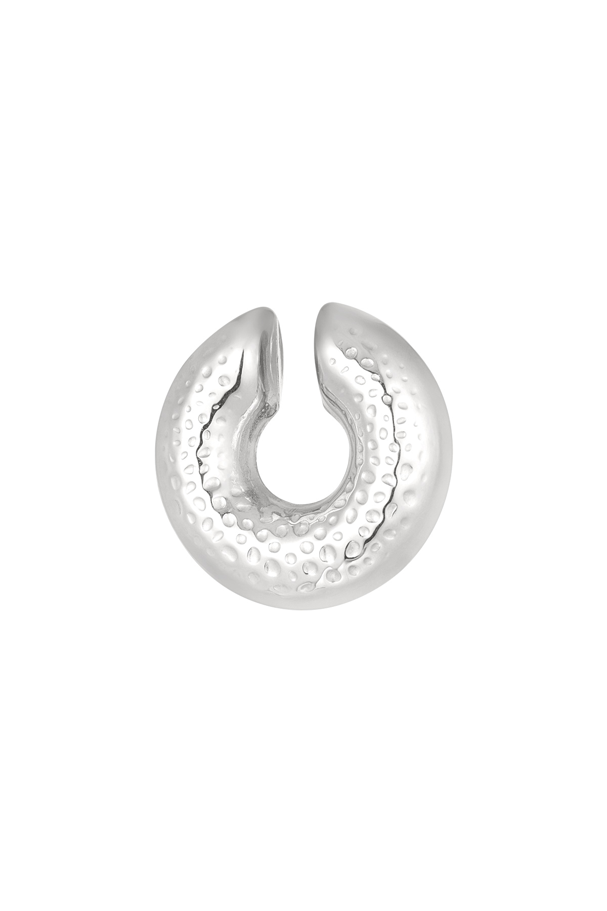 Silver Color Picture2