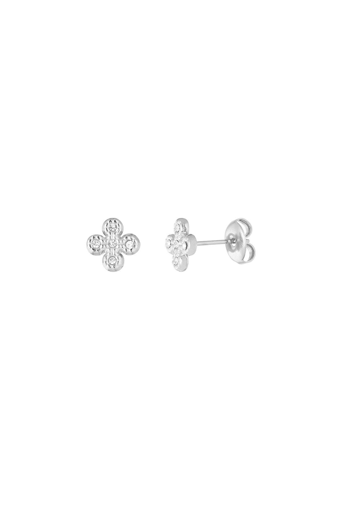 couleur argent Image2