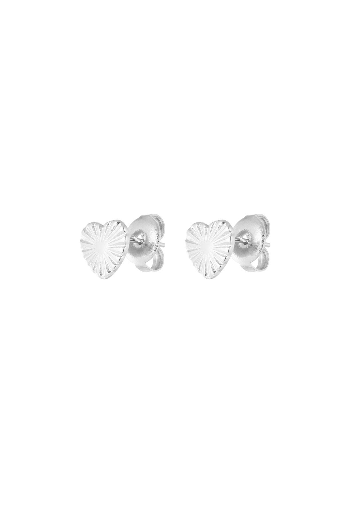 Silver Color Picture2