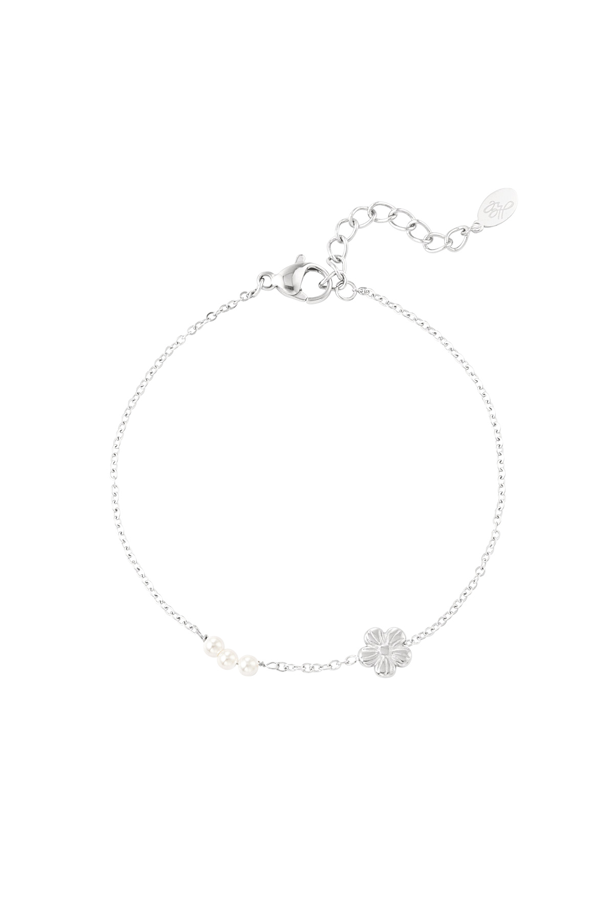 Silver Color Picture2