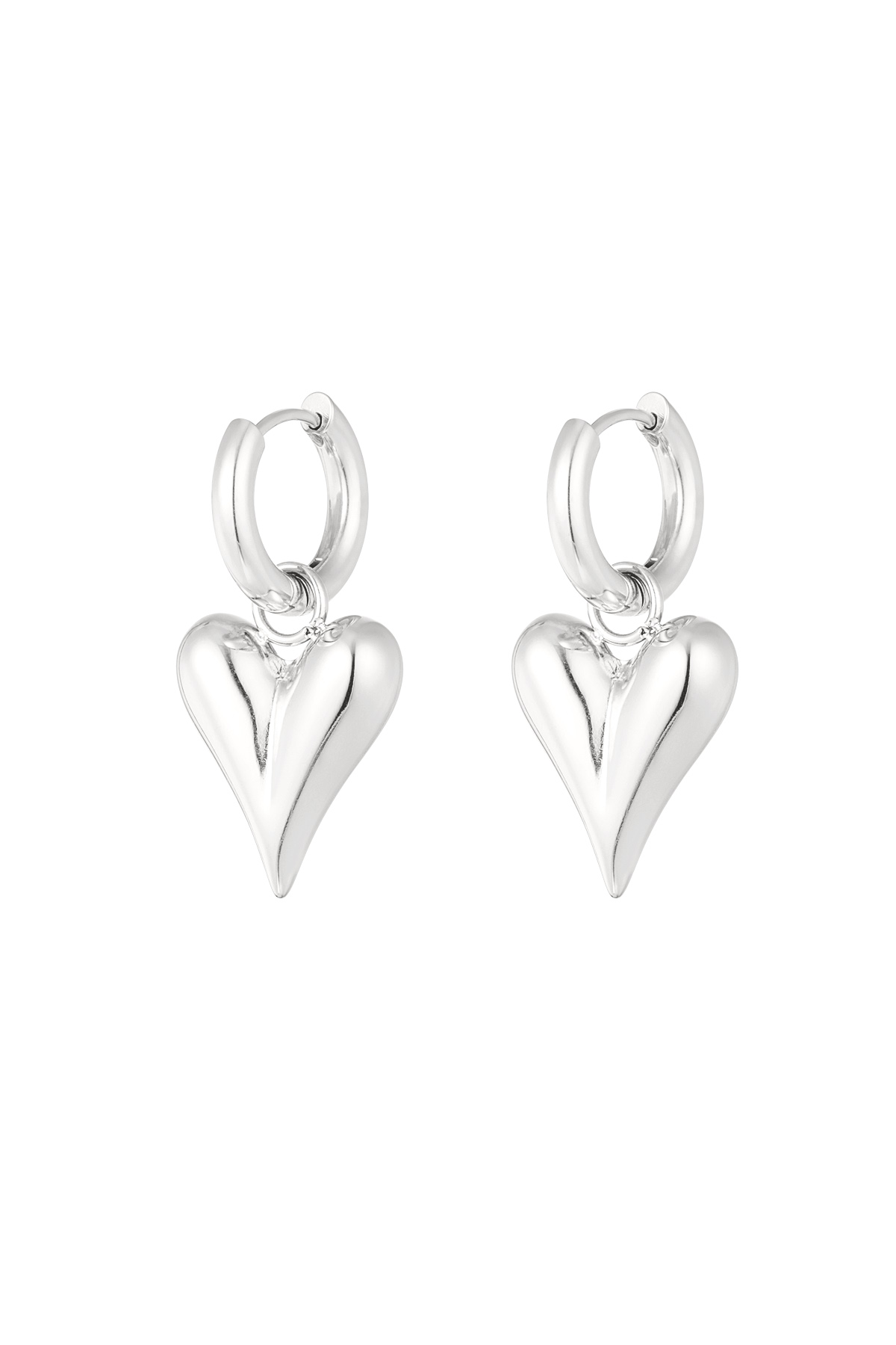 Silver Color Picture2