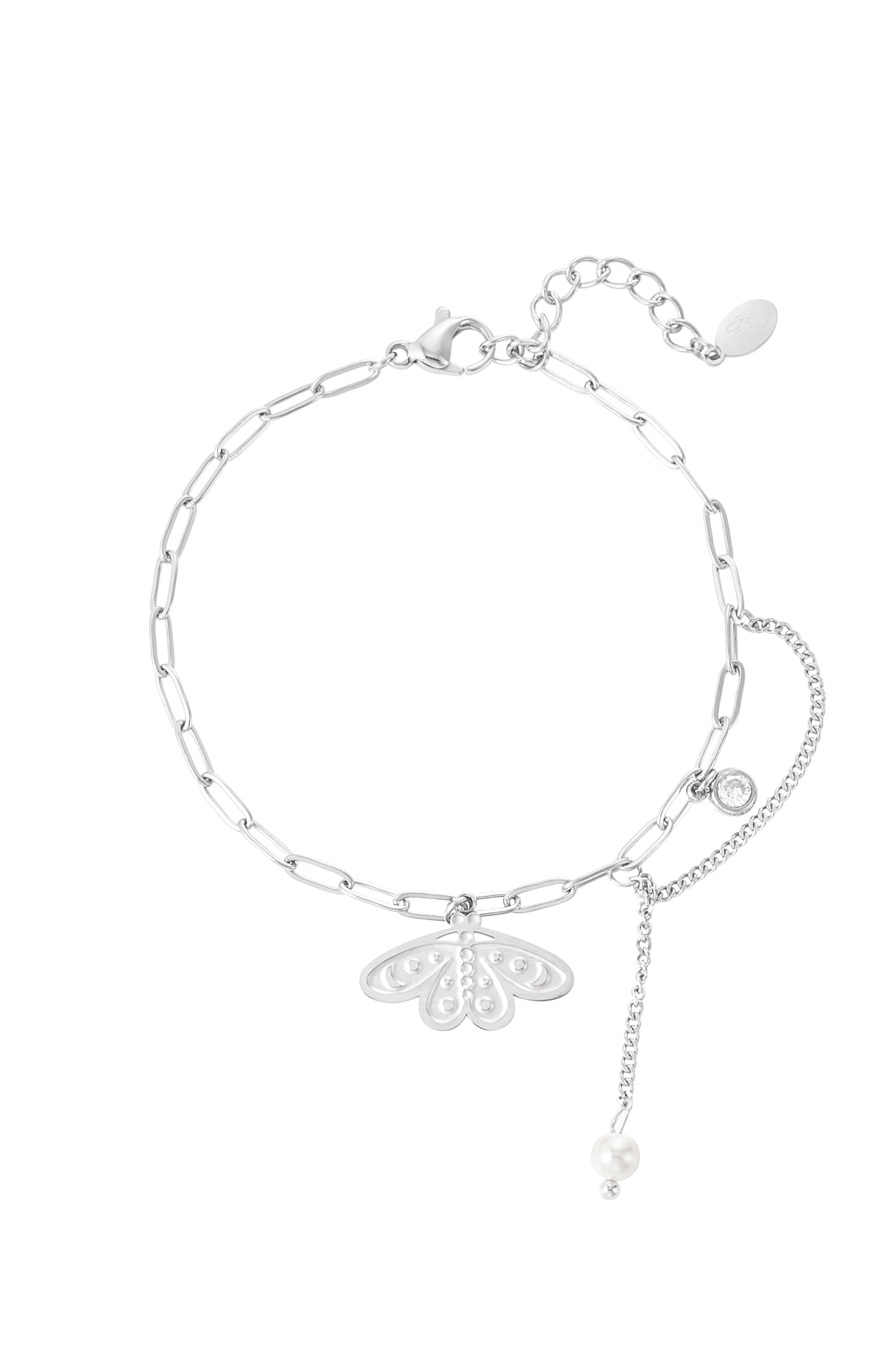 couleur argent Image2
