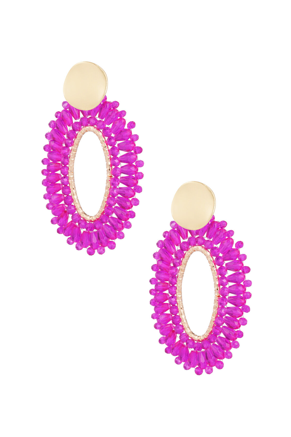 fuchsia Afbeelding5