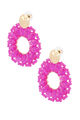 fuchsia Image5