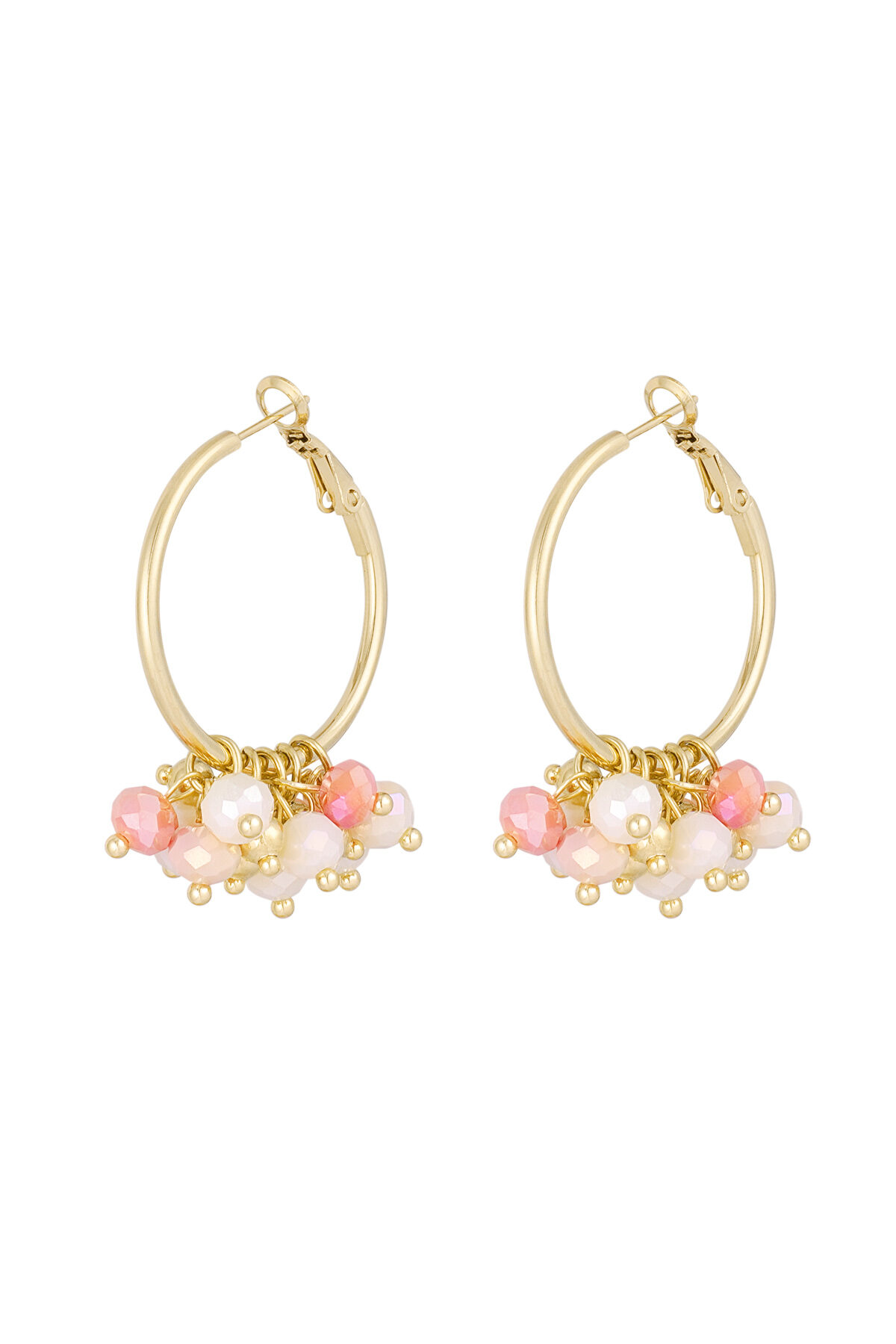coral Imagen2