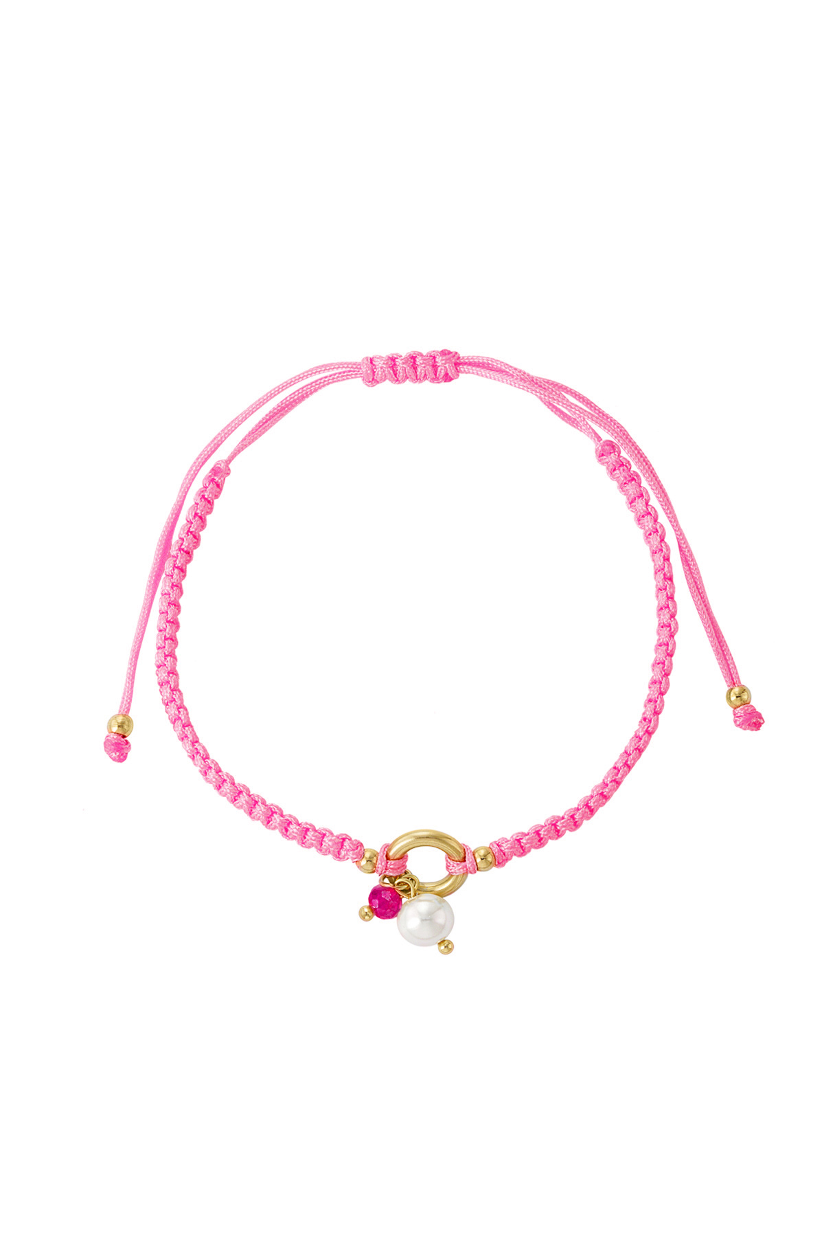 Rosa Immagine4