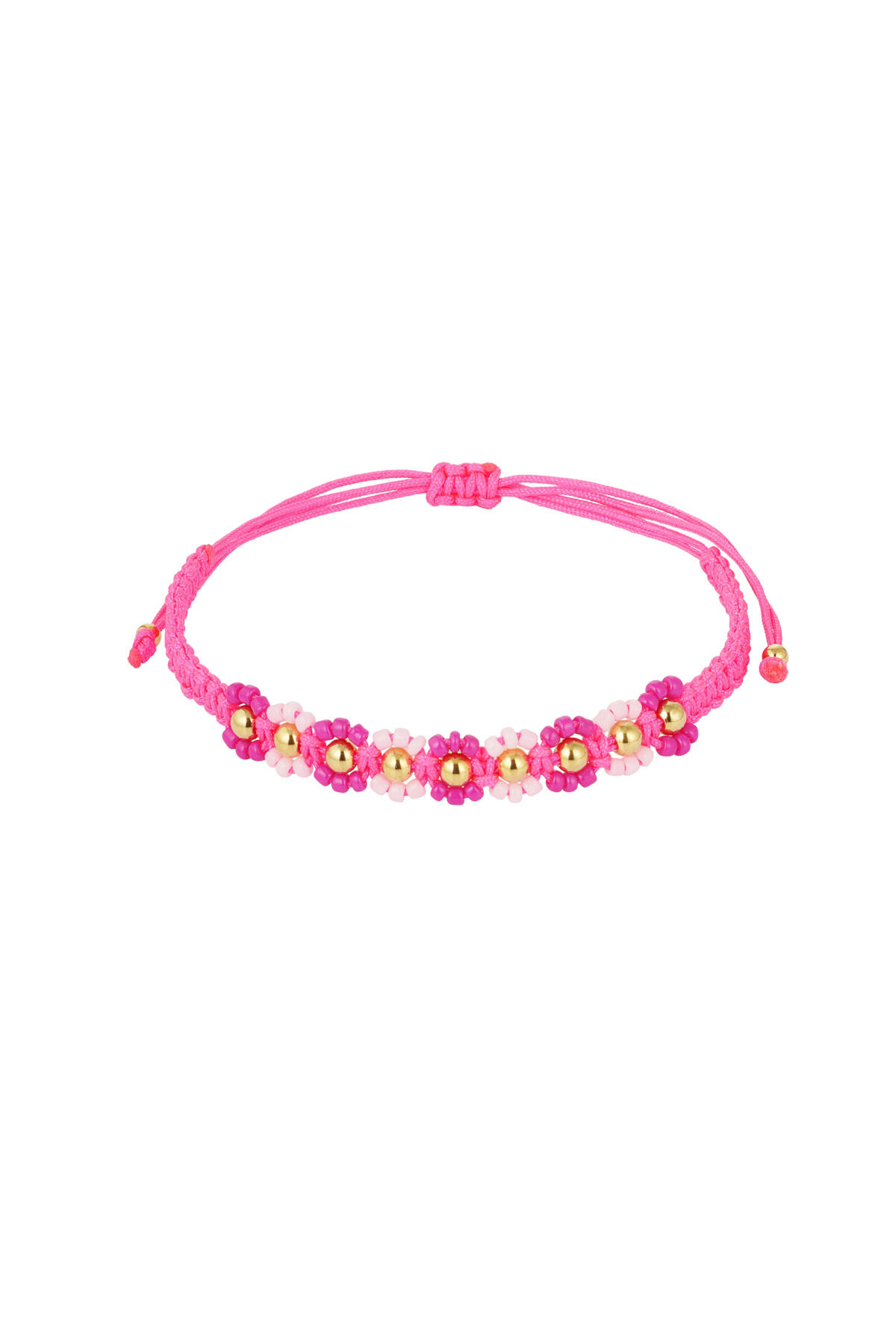 fucsia Immagine4