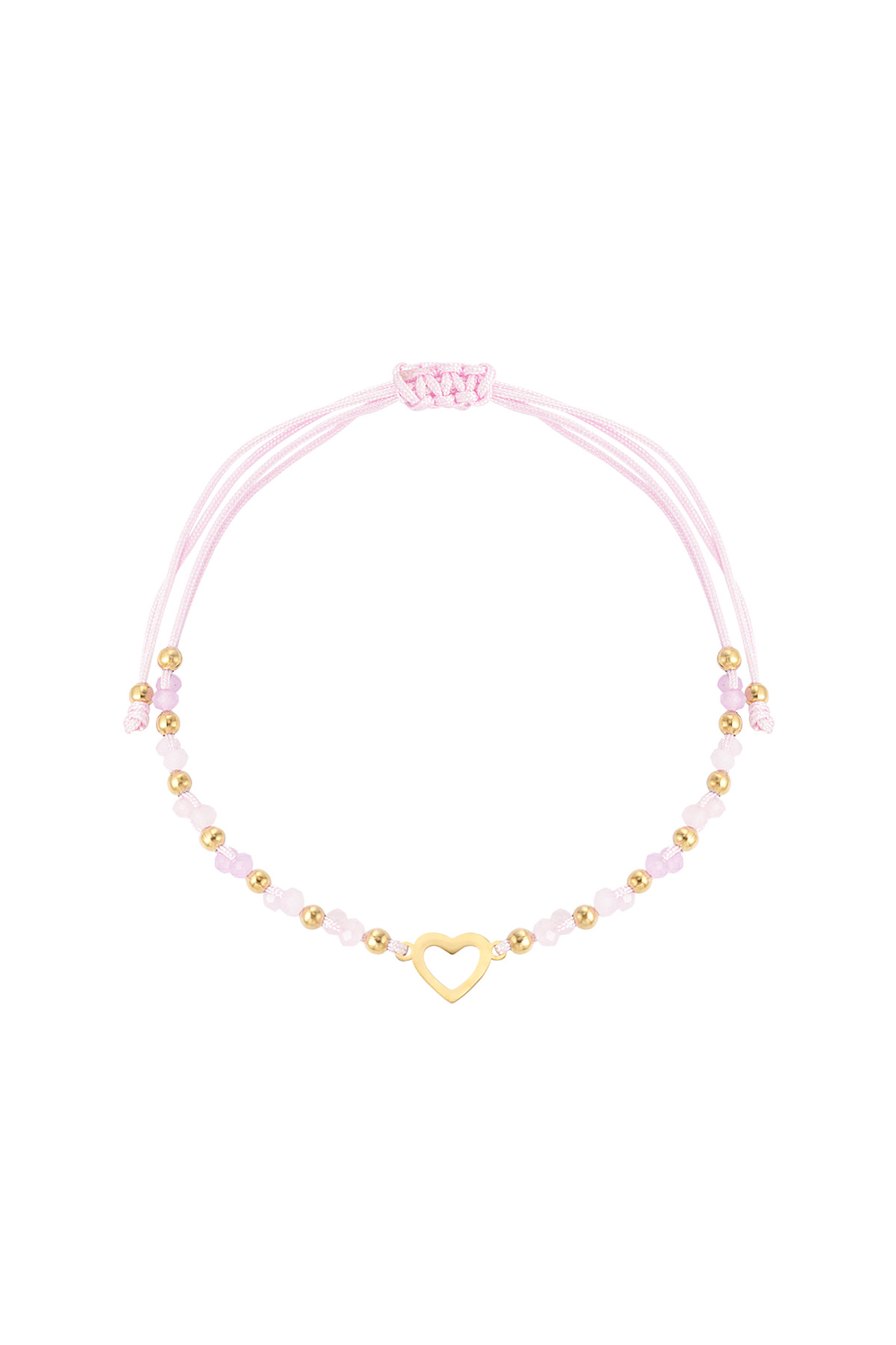 Rosa Imagen2