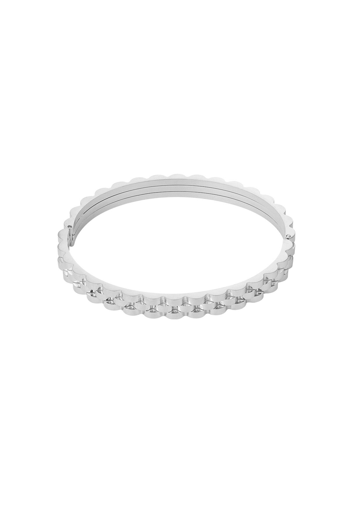 Silver Color Picture2
