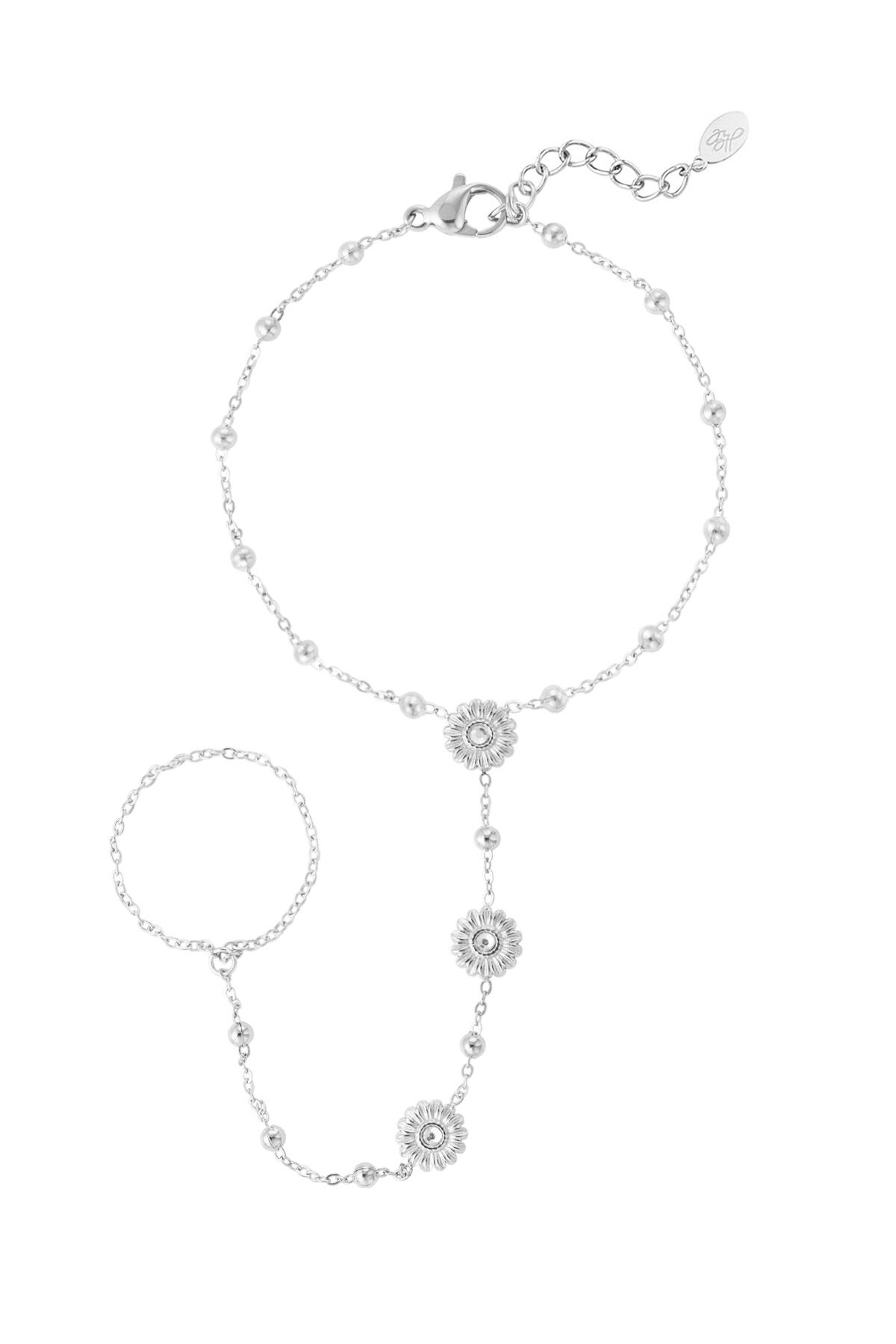 Silver Color Picture2