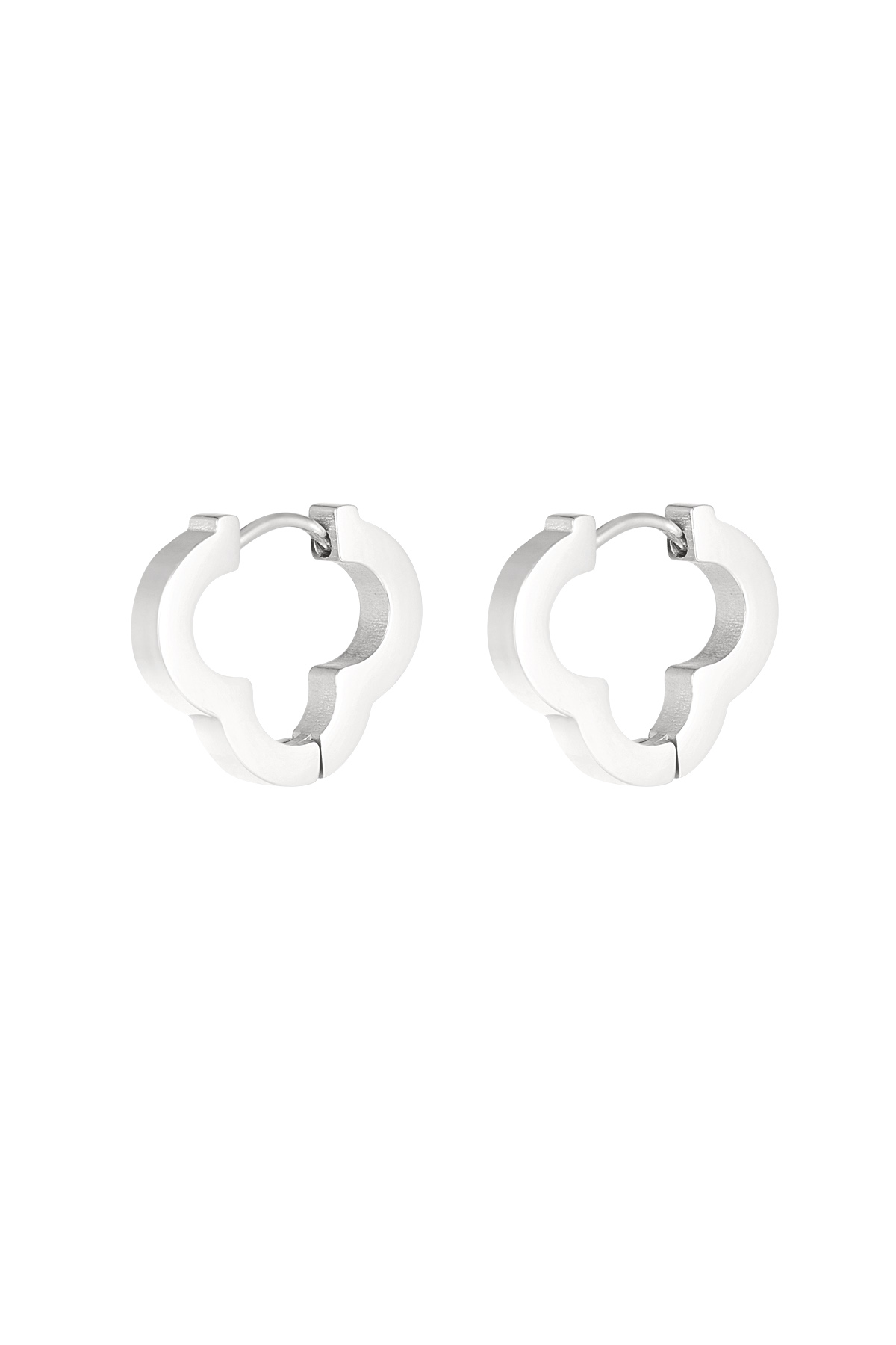 couleur argent Image2