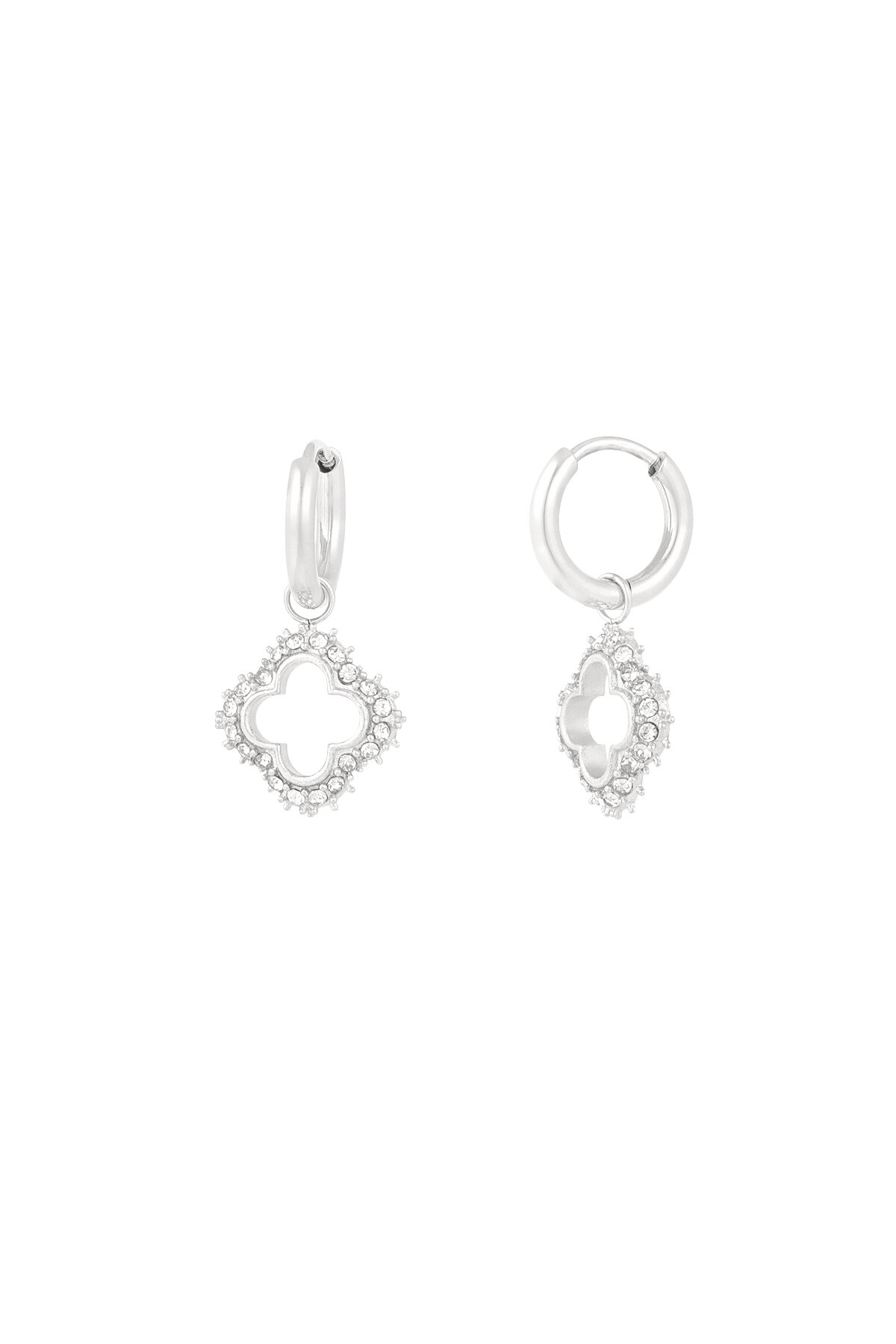 Silver Color Picture2