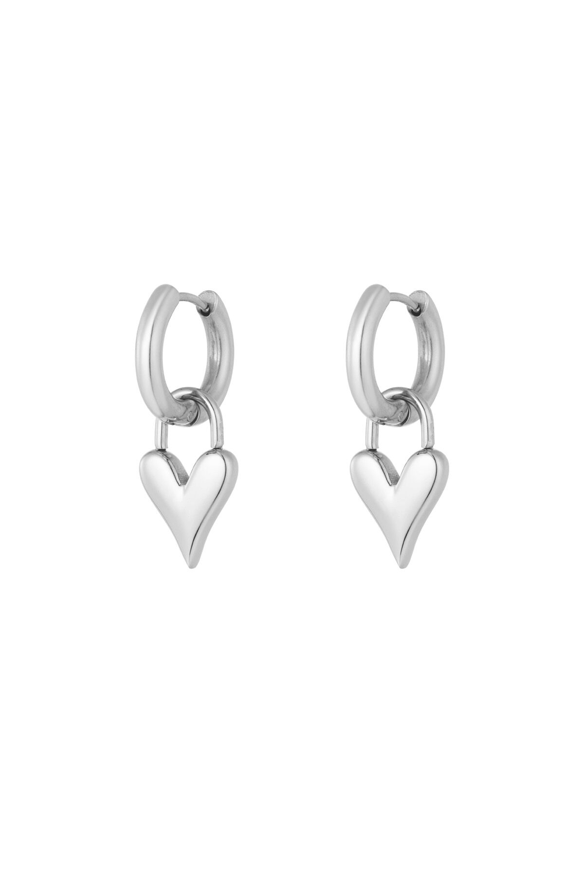 couleur argent Image2