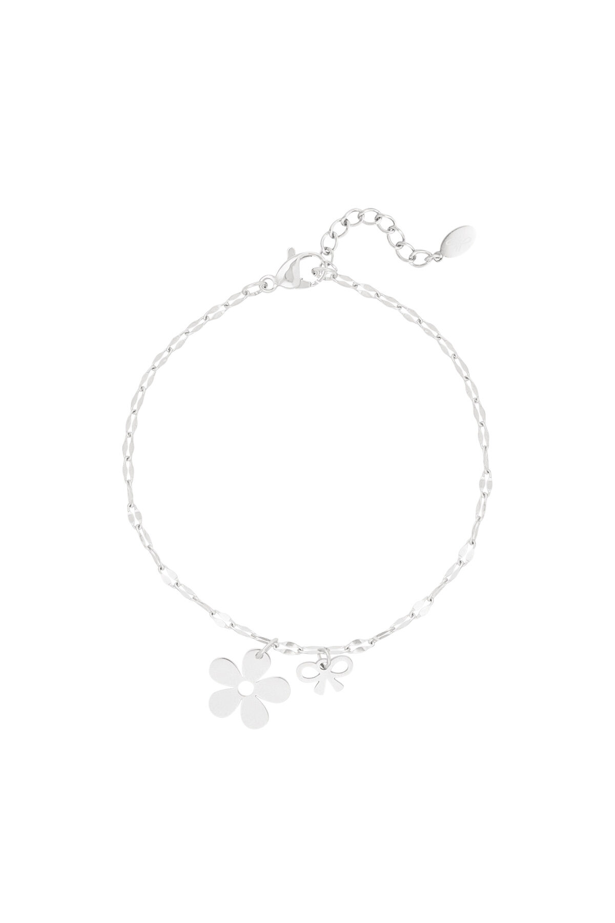 couleur argent Image2