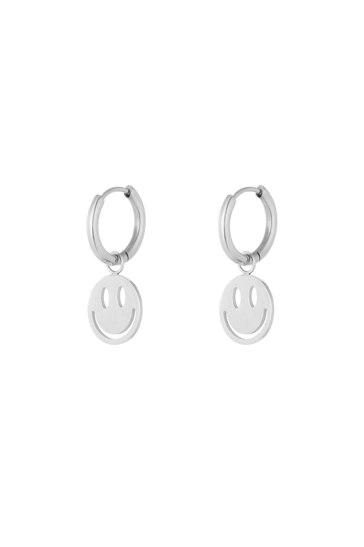 Silver Color Picture2