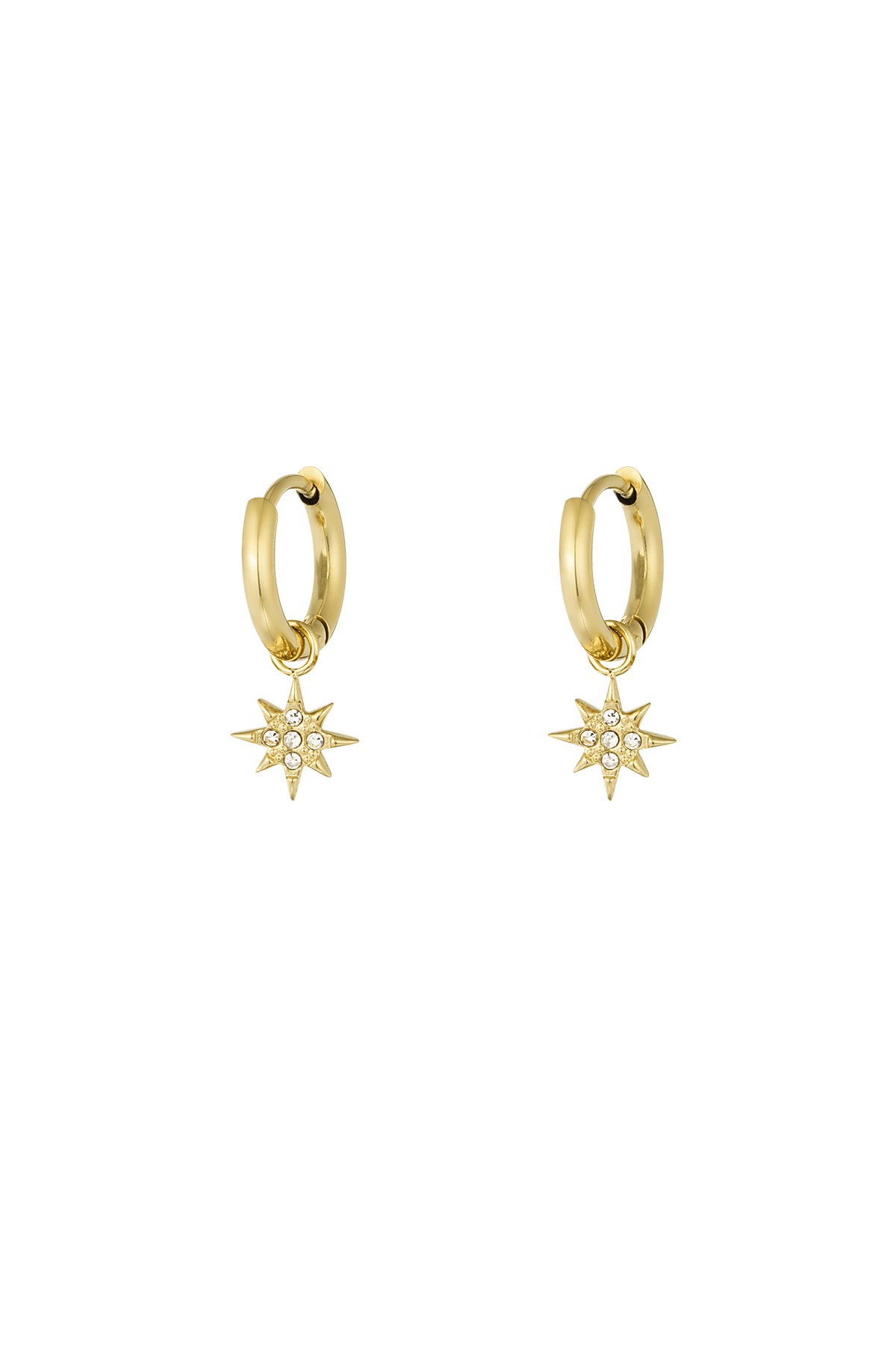 Earrings Stardust