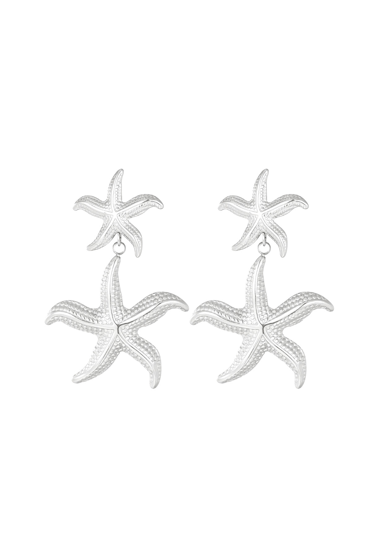 couleur argent Image2