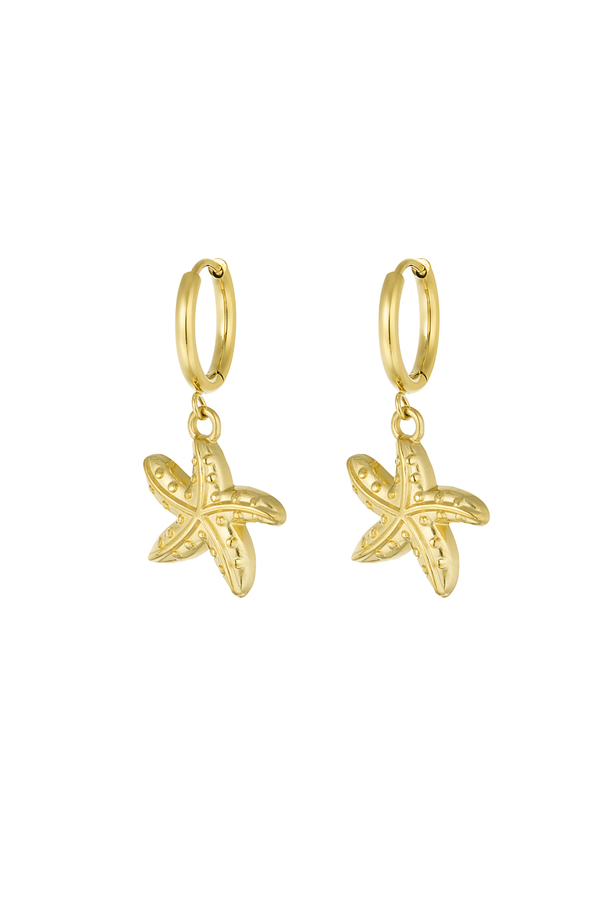 earrings special starfish h5 