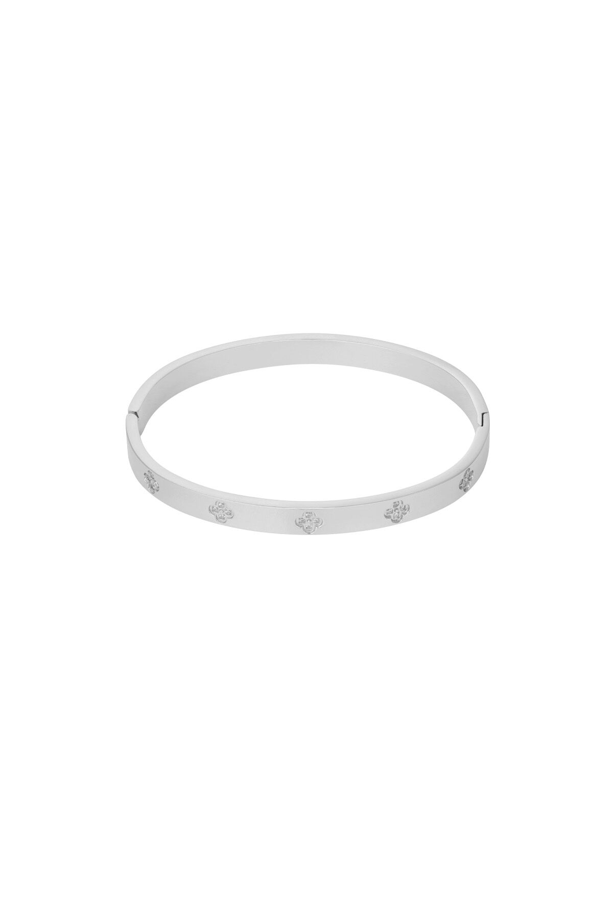 couleur argent Image2