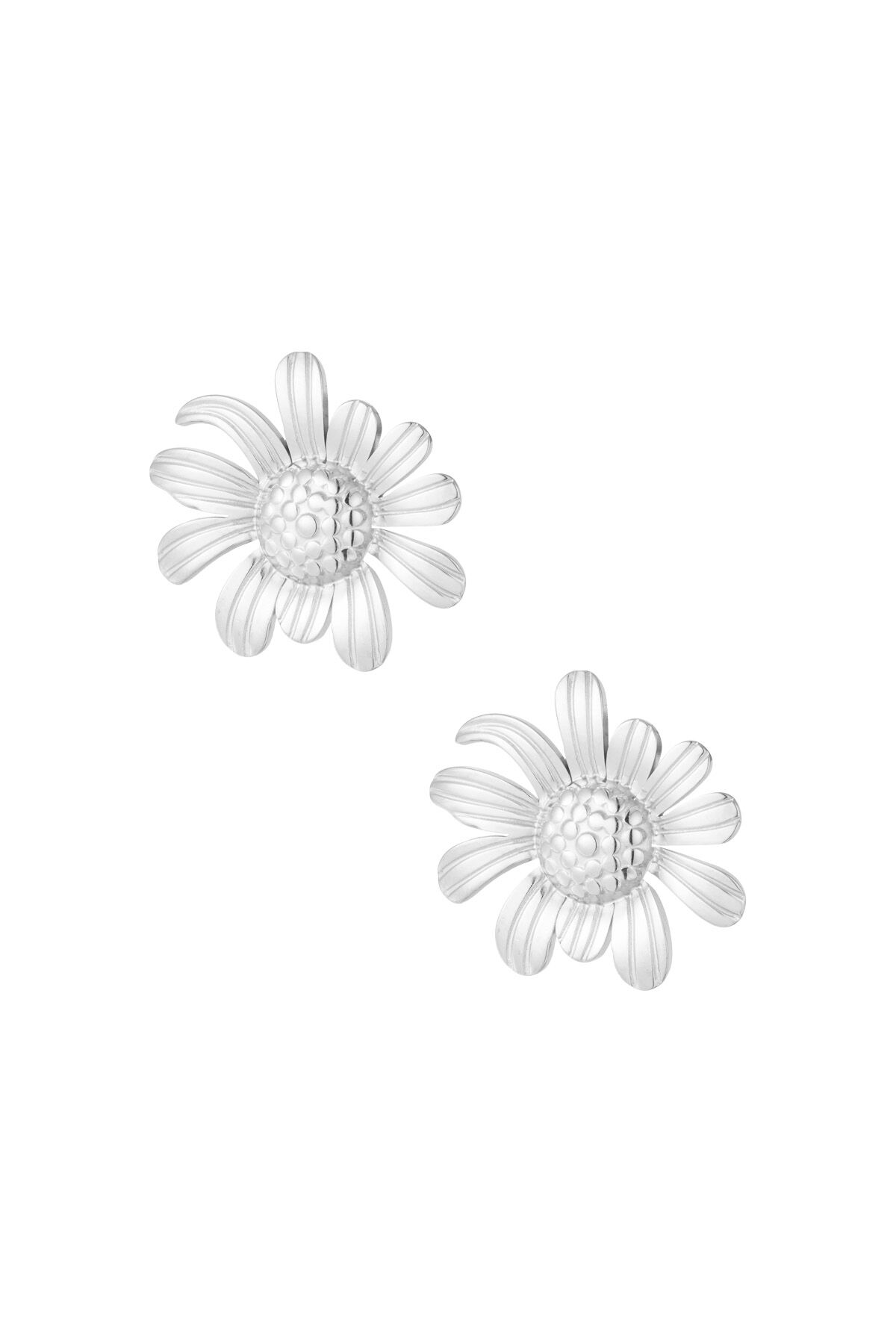 couleur argent Image2