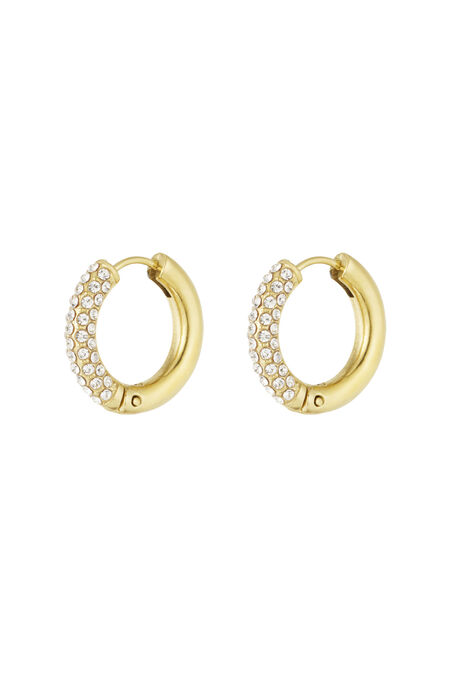 Shiny Rings earrings 2