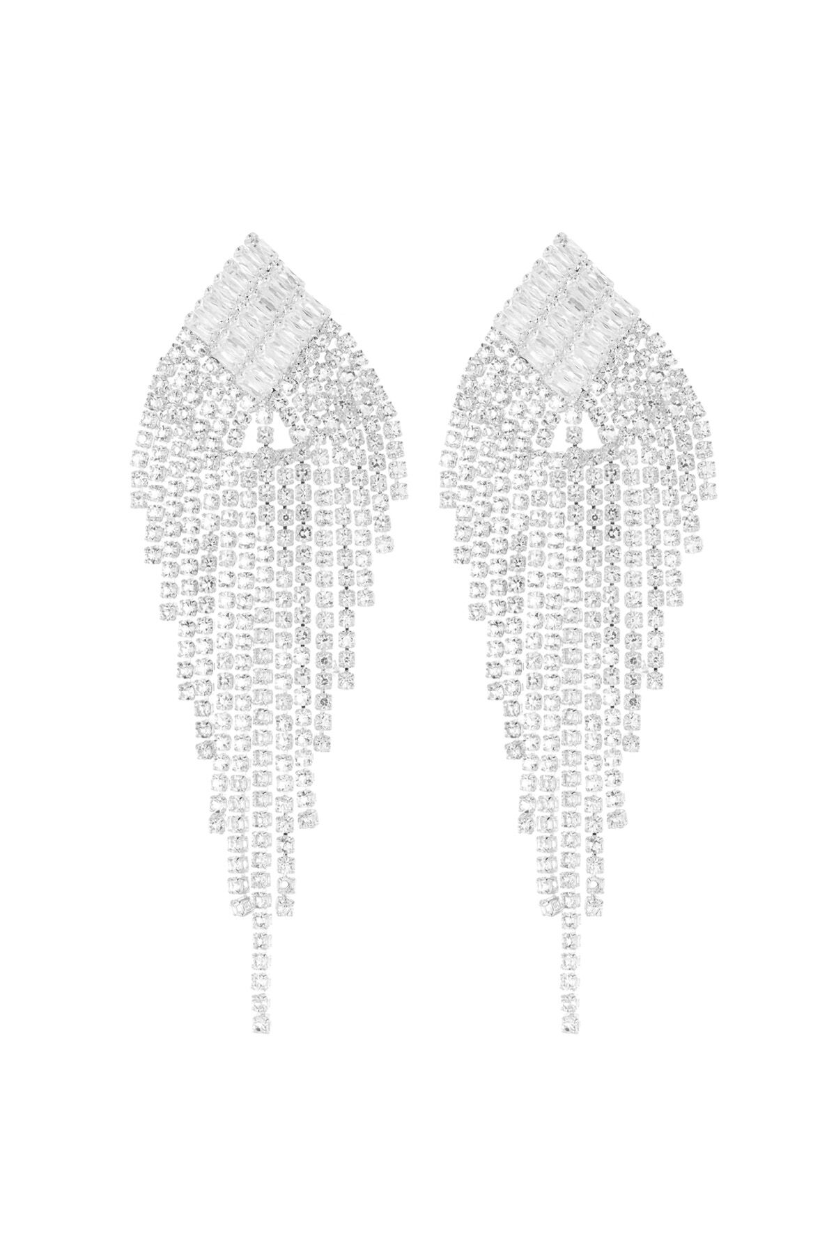 Silver Color Picture2