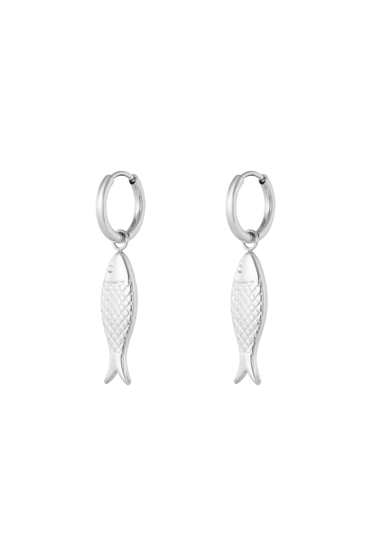 couleur argent Image2
