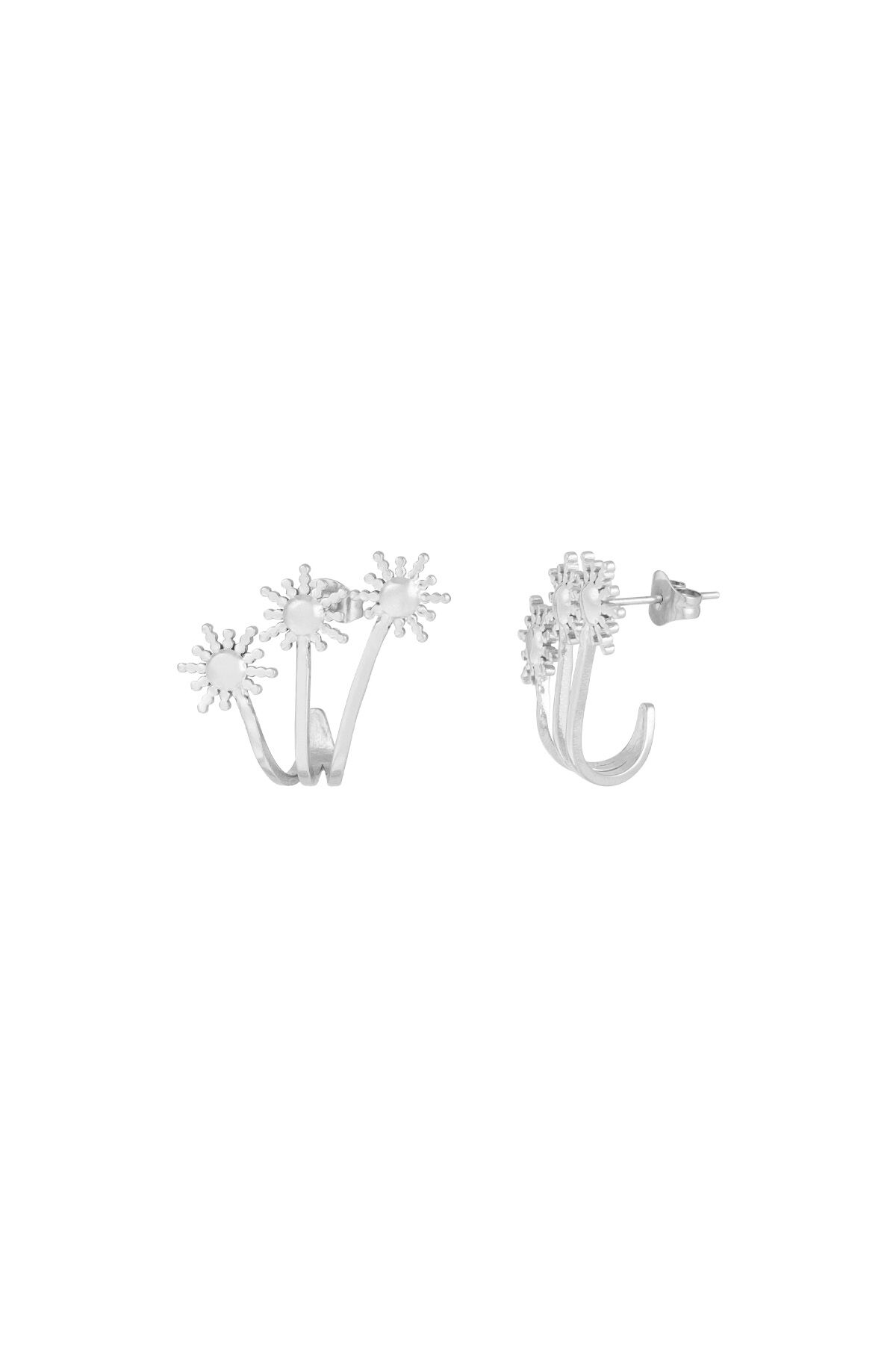couleur argent Image2