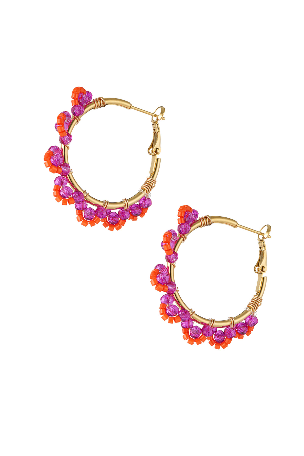 fuchsia Image4
