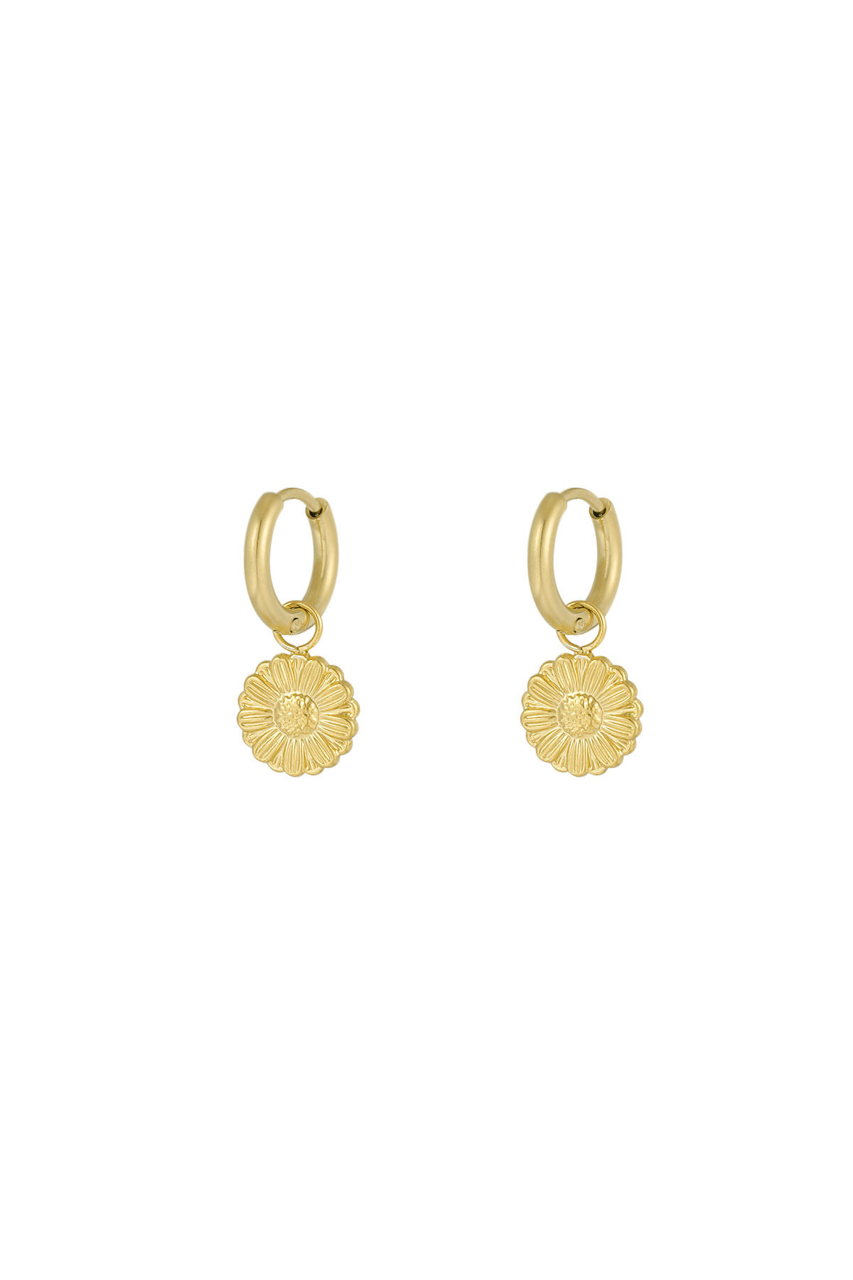 sweet daisies oorbellen h5 