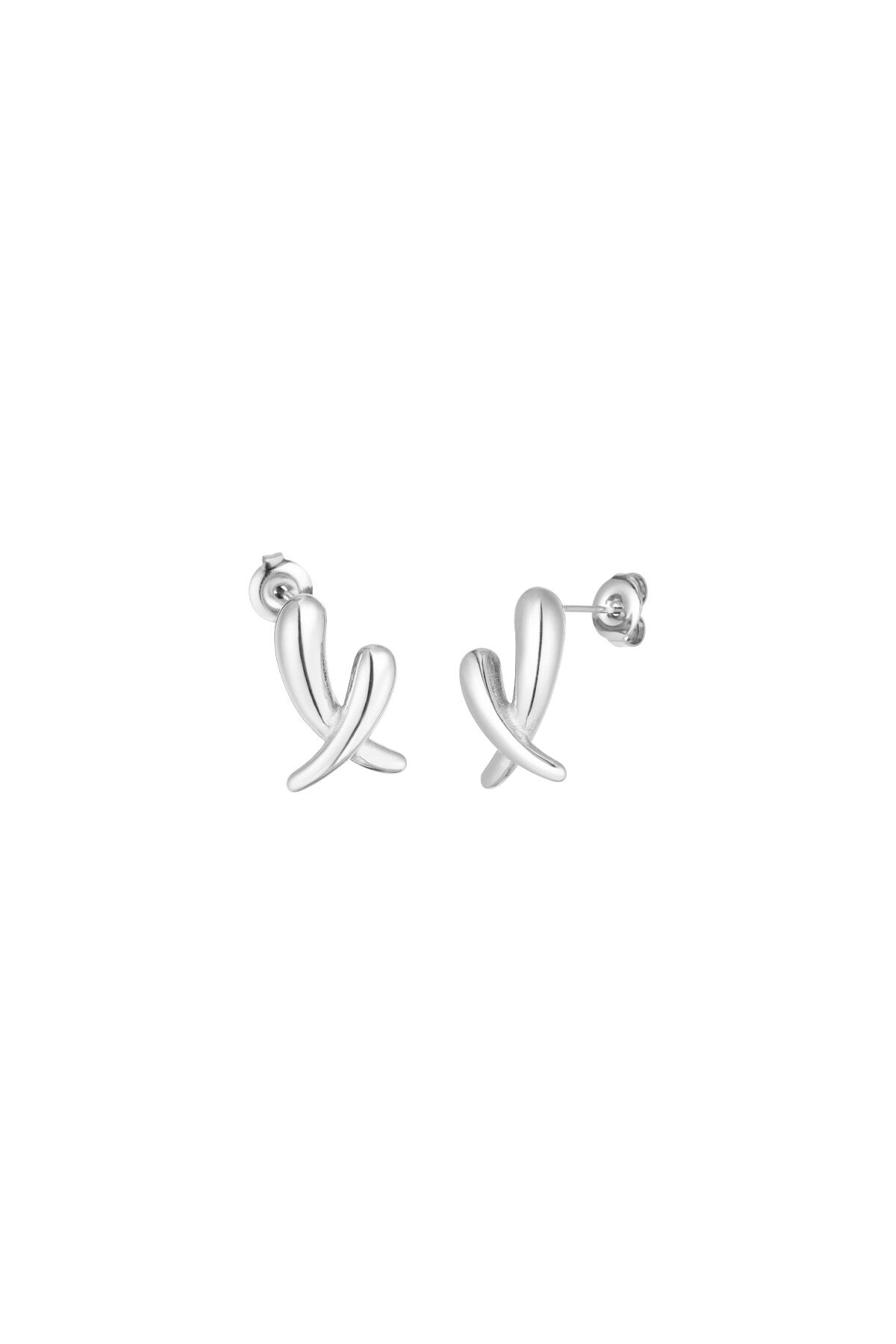 couleur argent Image2