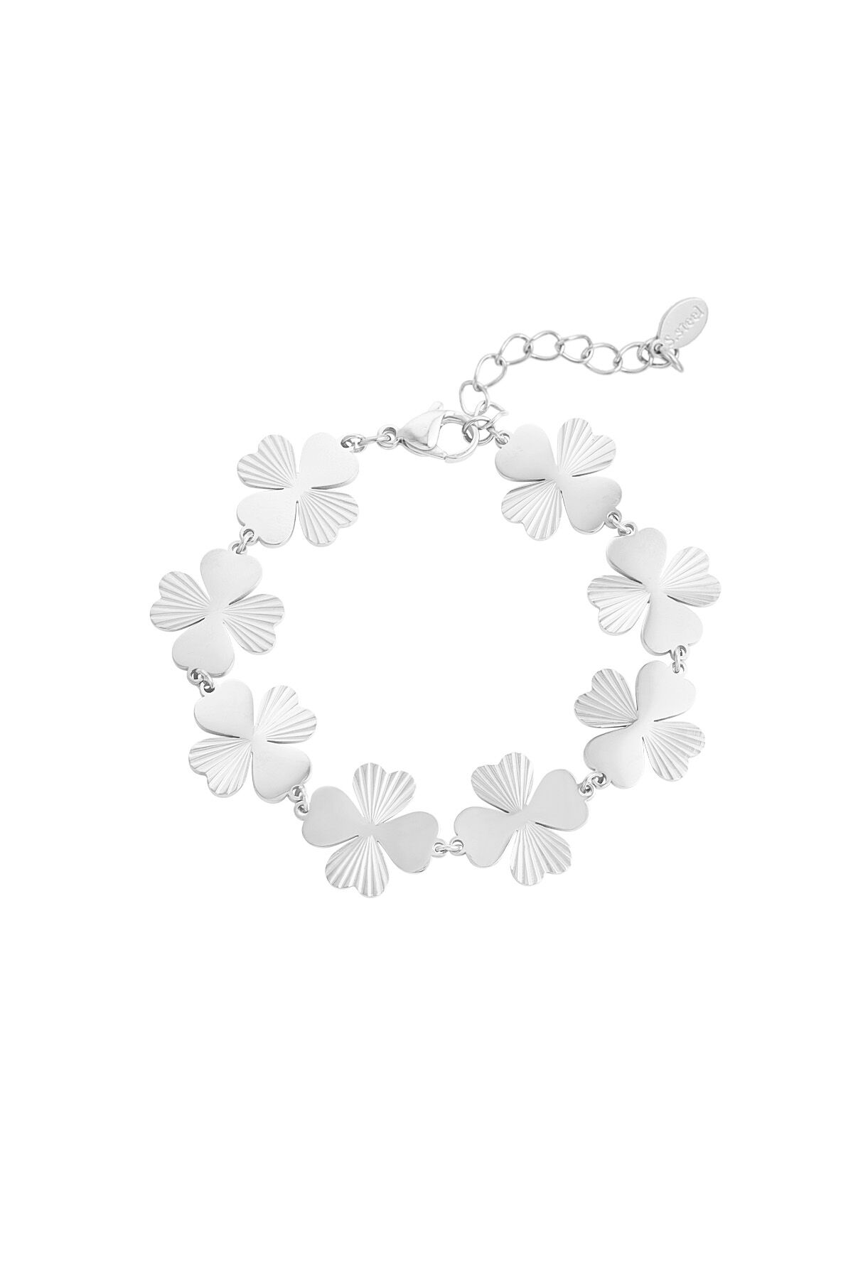 colore argento Immagine2