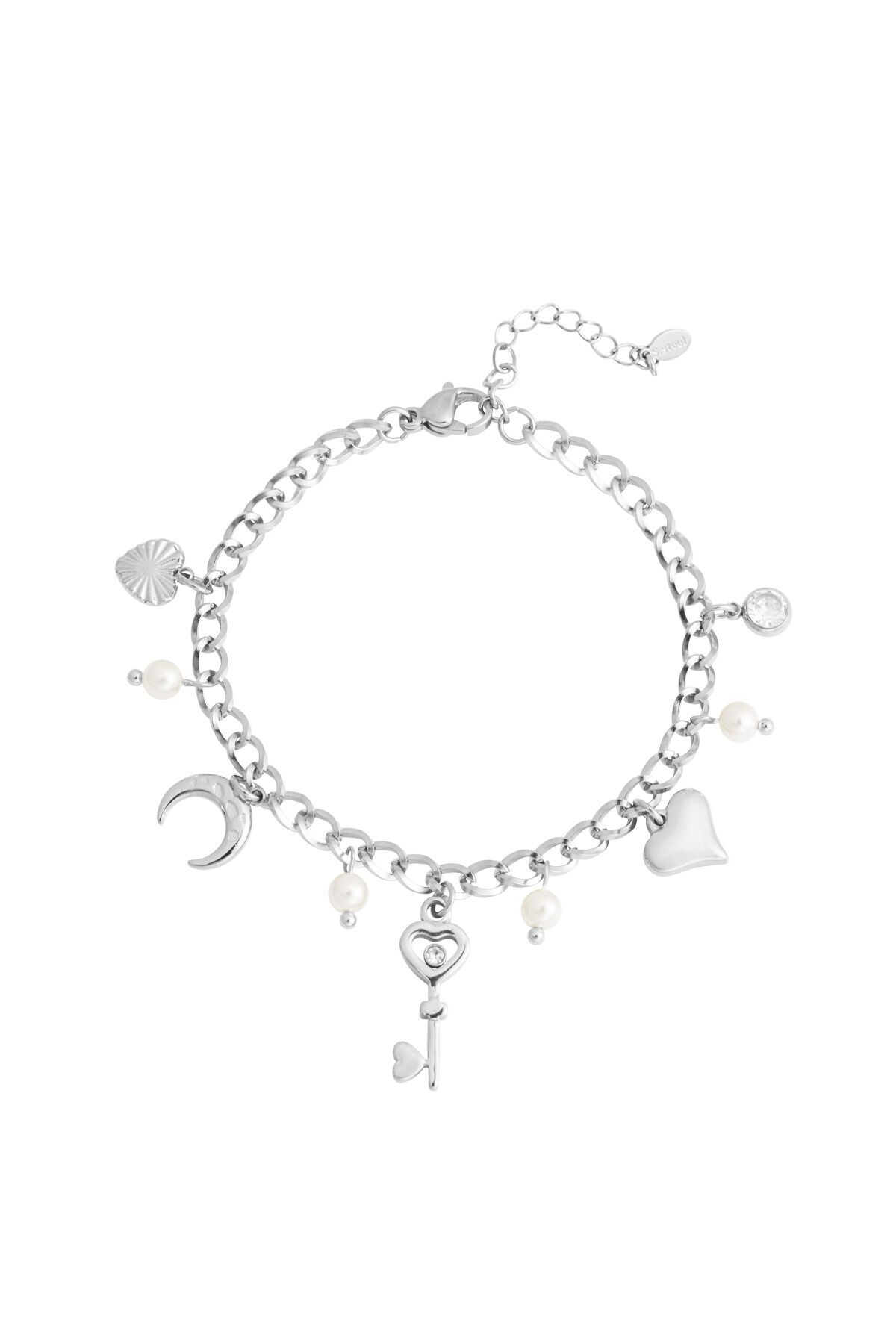 Silver Color Picture2