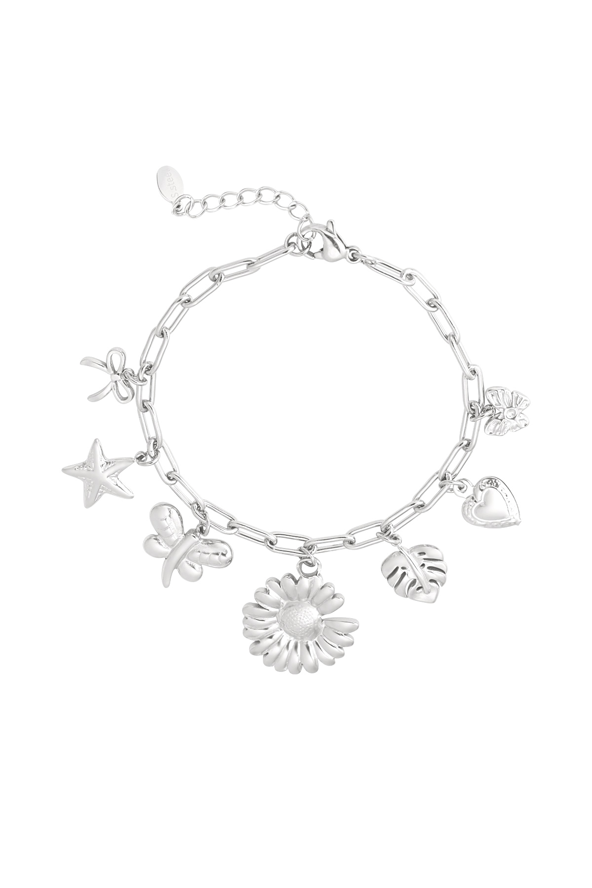 couleur argent Image2