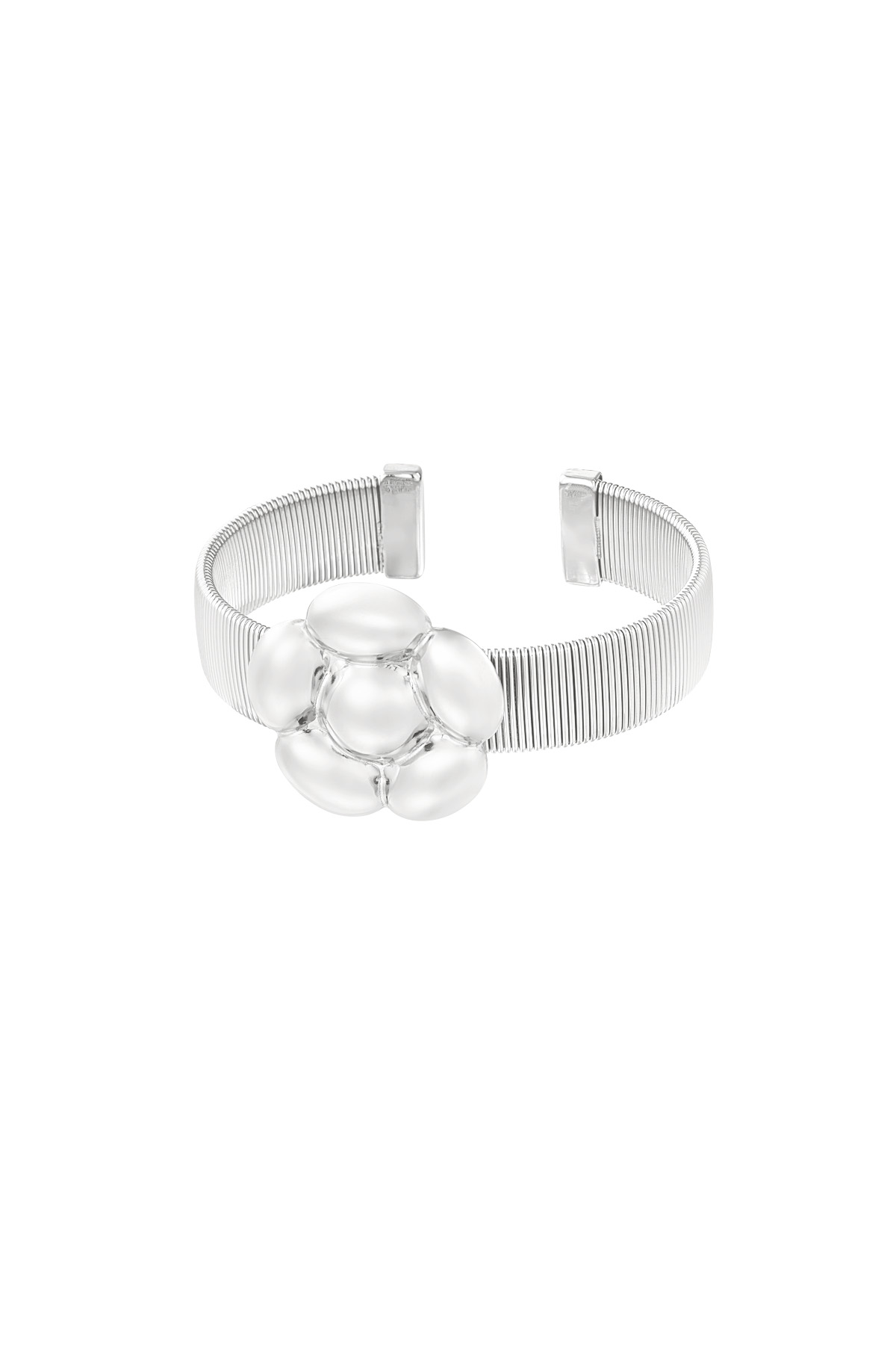 color plata/Talla única Imagen2