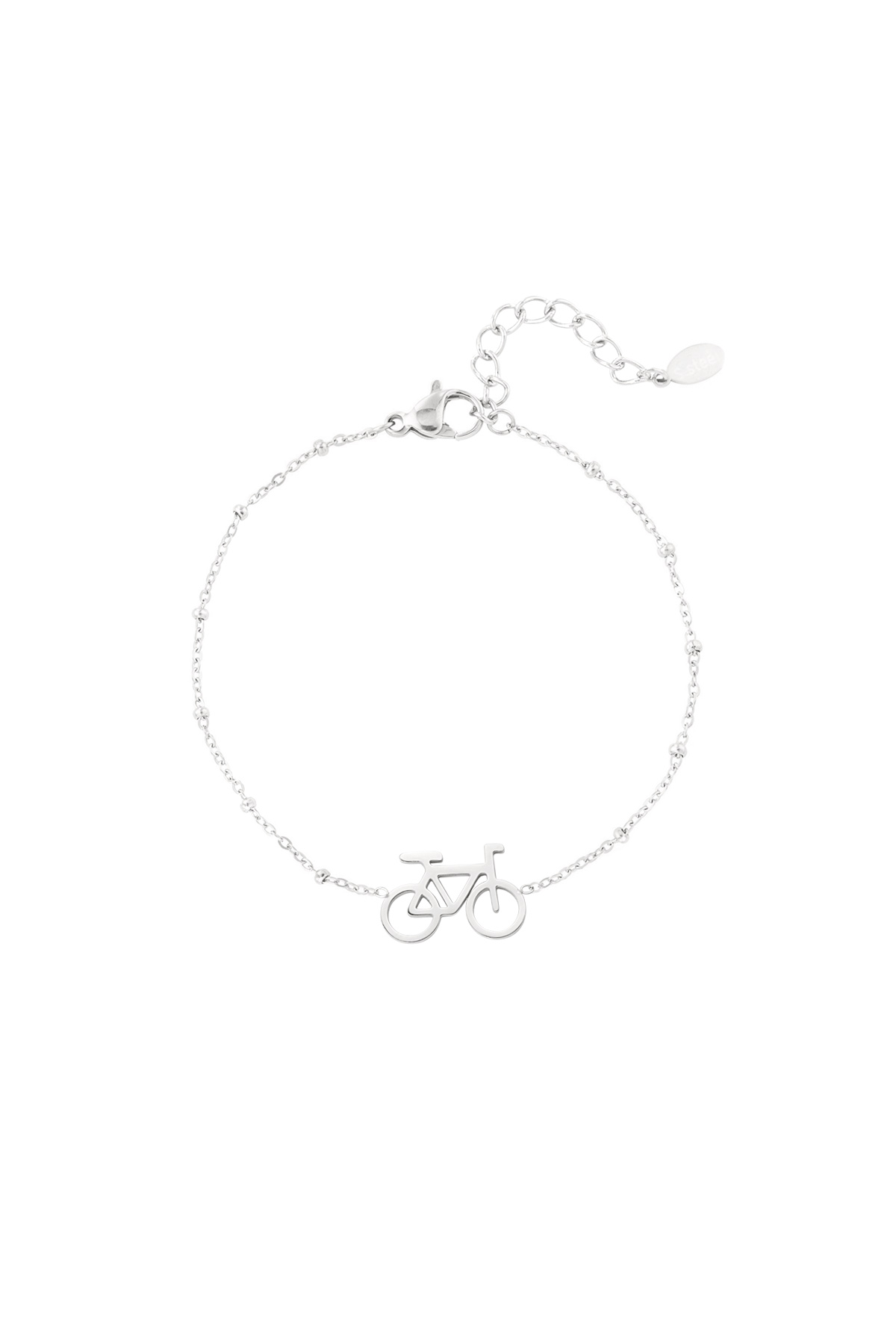 couleur argent Image2