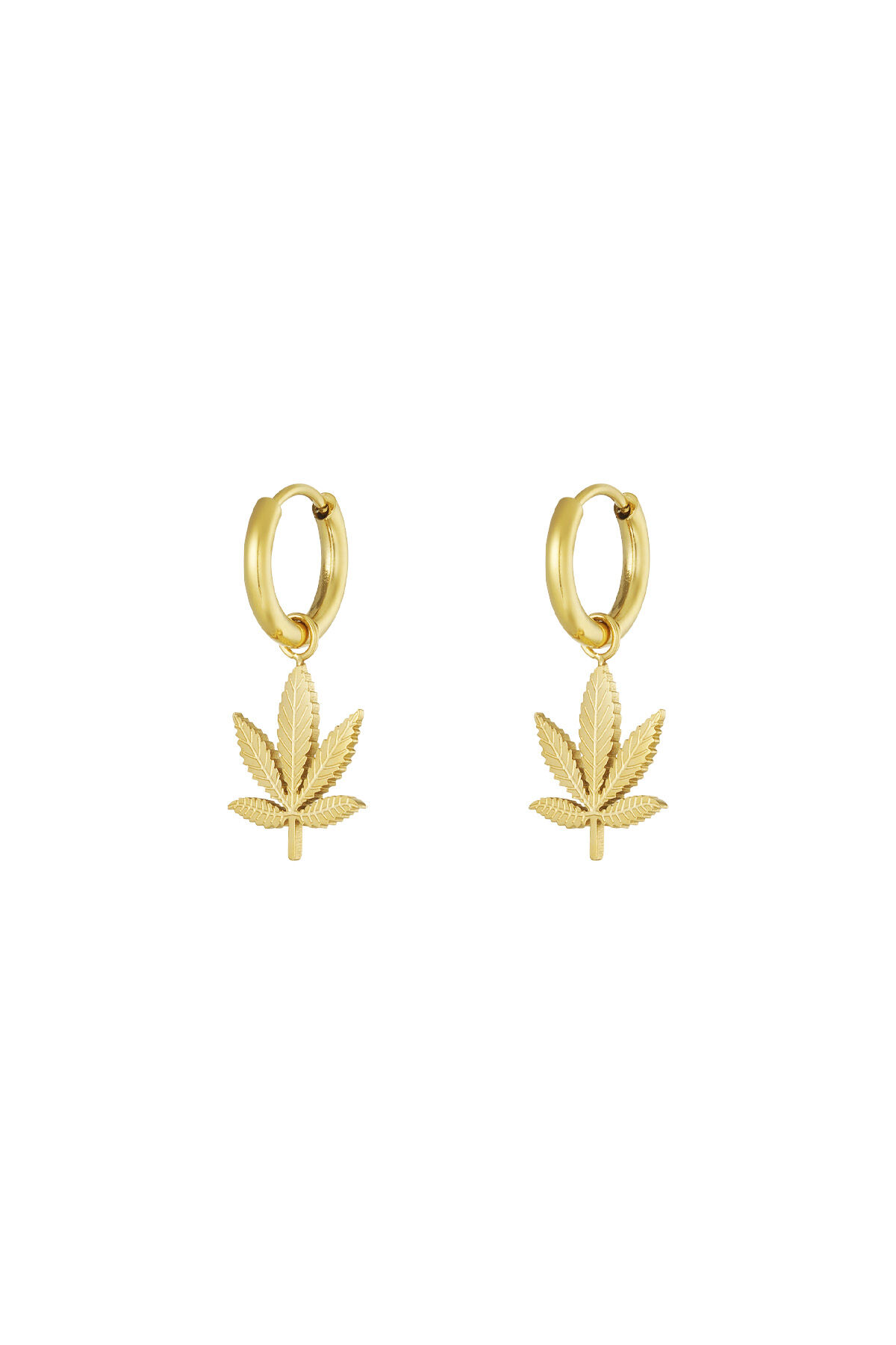 Gold Color 