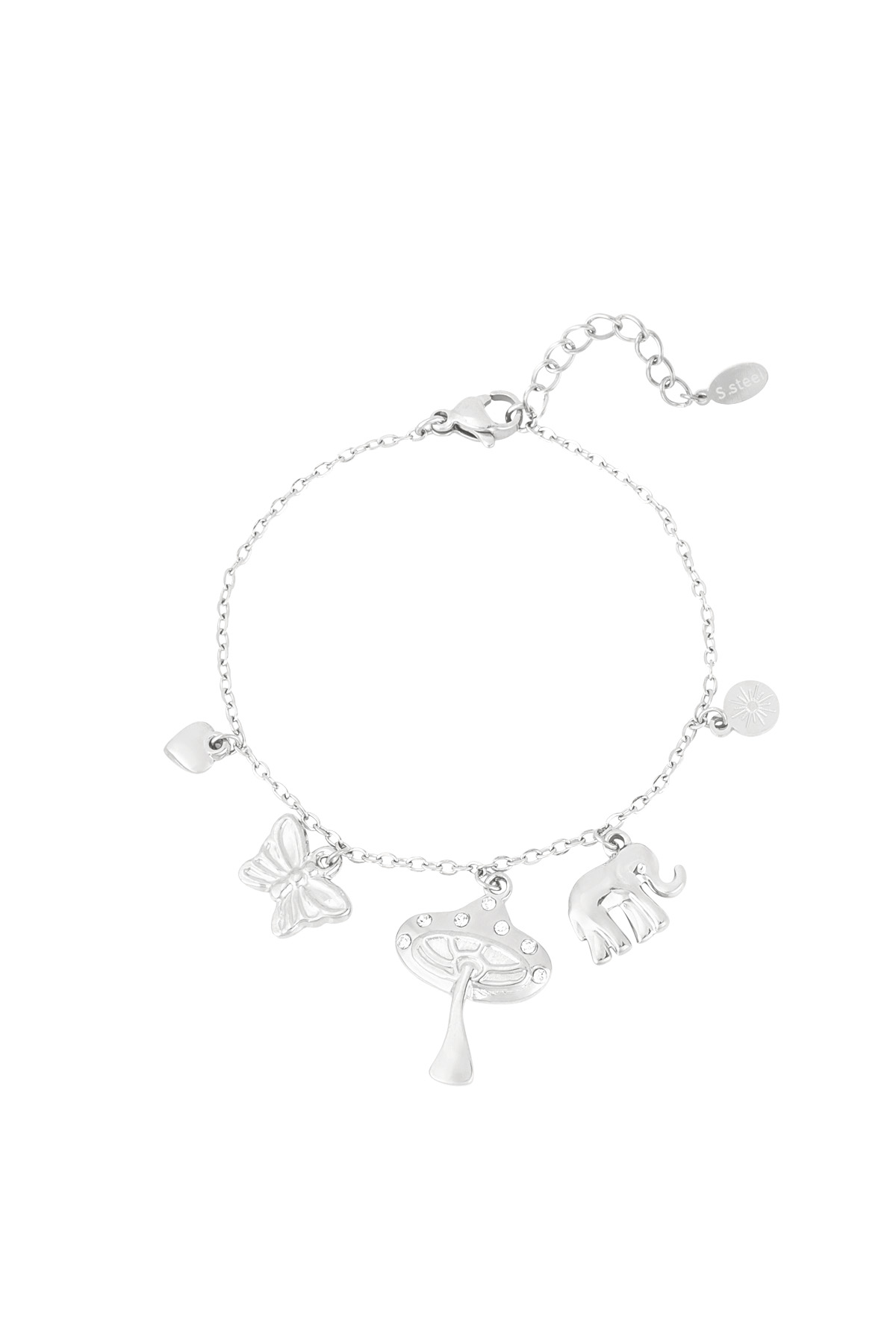 Silver Color Picture2