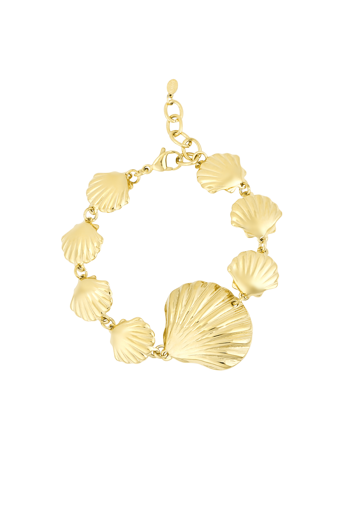 pulsera amante de las conchas marinas h5 