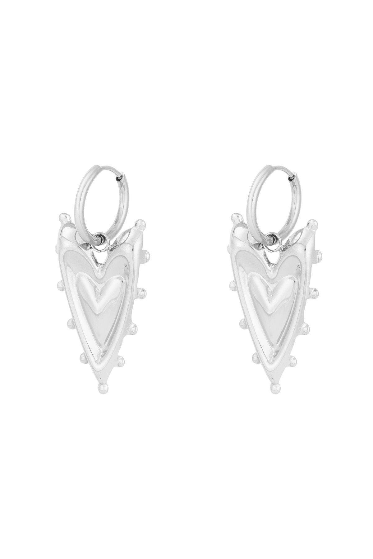 couleur argent Image2
