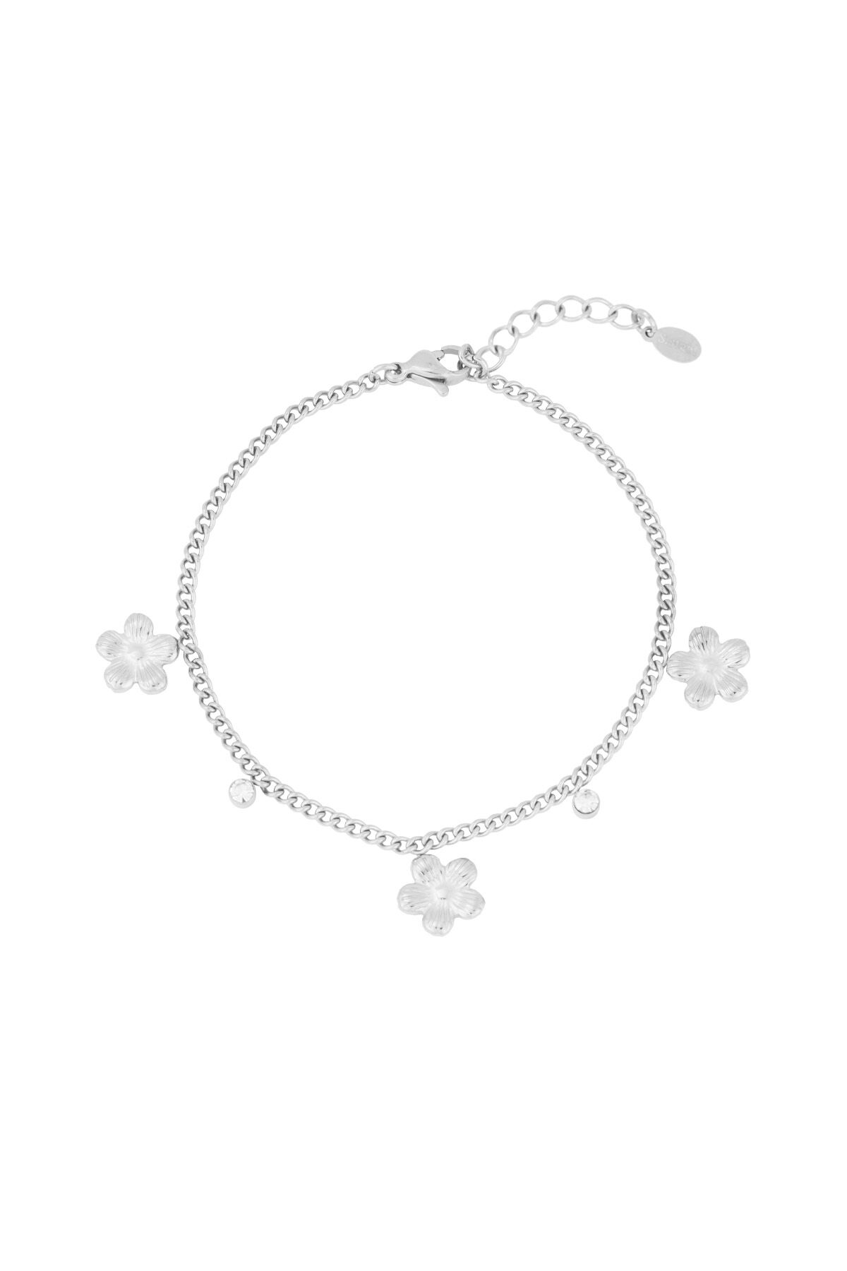 Silver Color Picture2