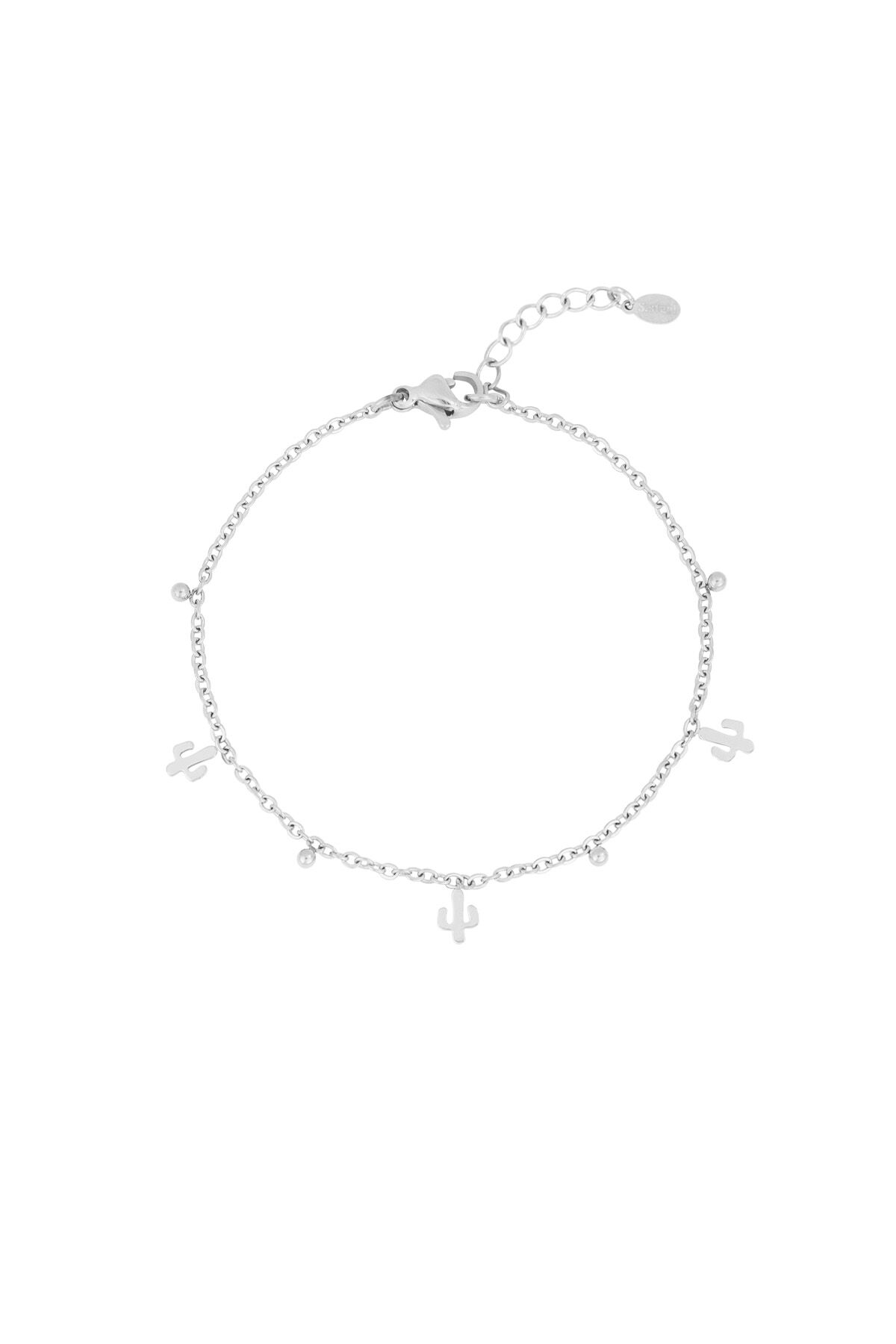 Silver Color Picture2