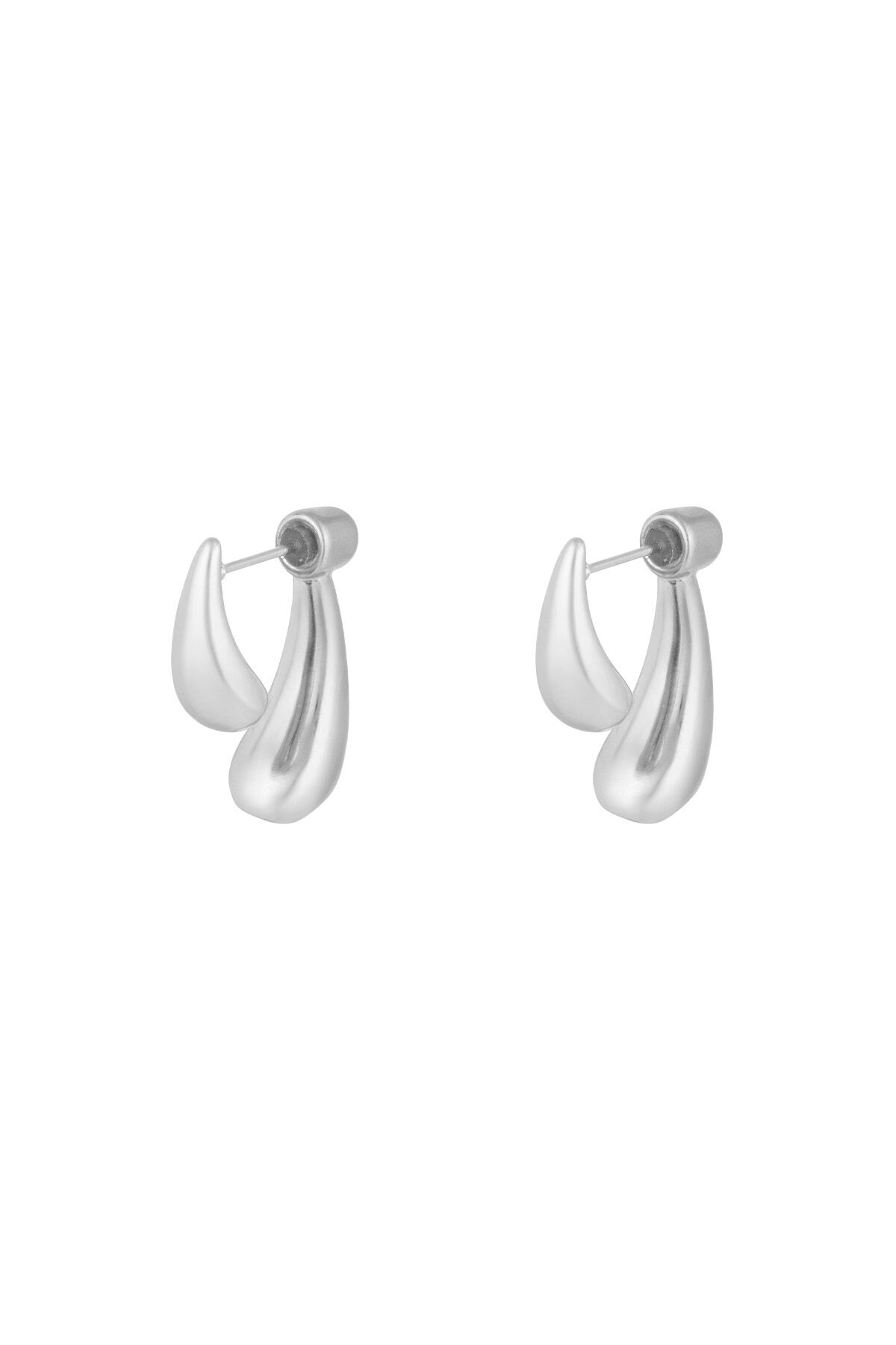 Silver Color Picture2