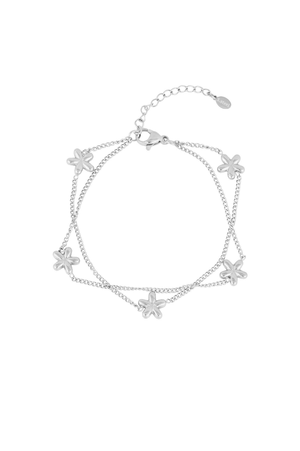 couleur argent Image2
