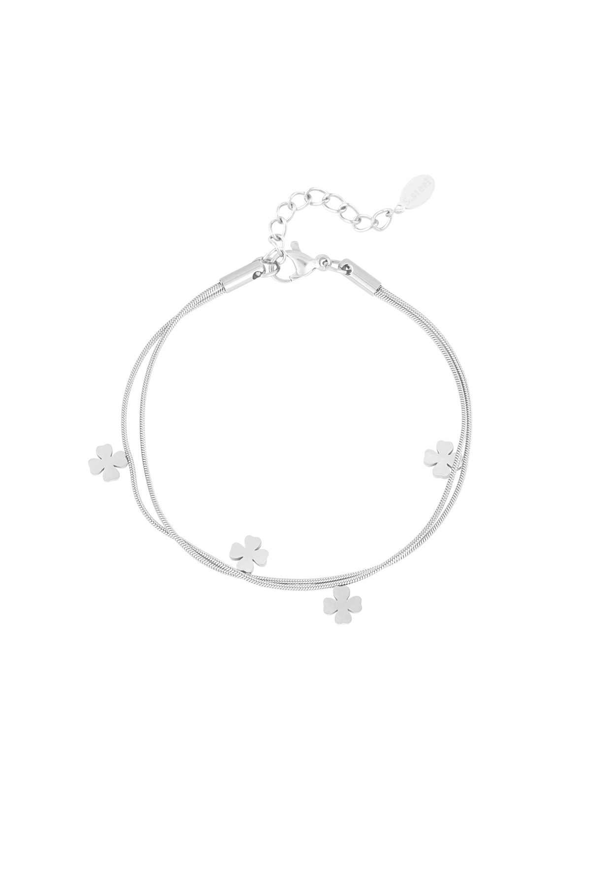 couleur argent Image2