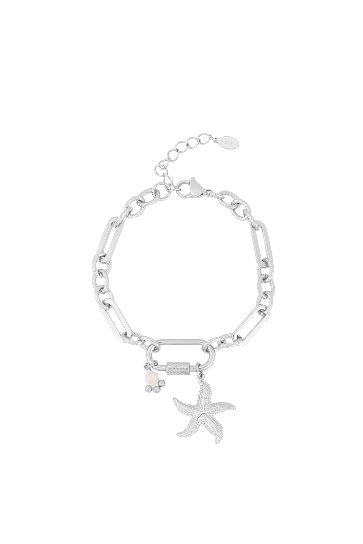 Silver Color Picture2