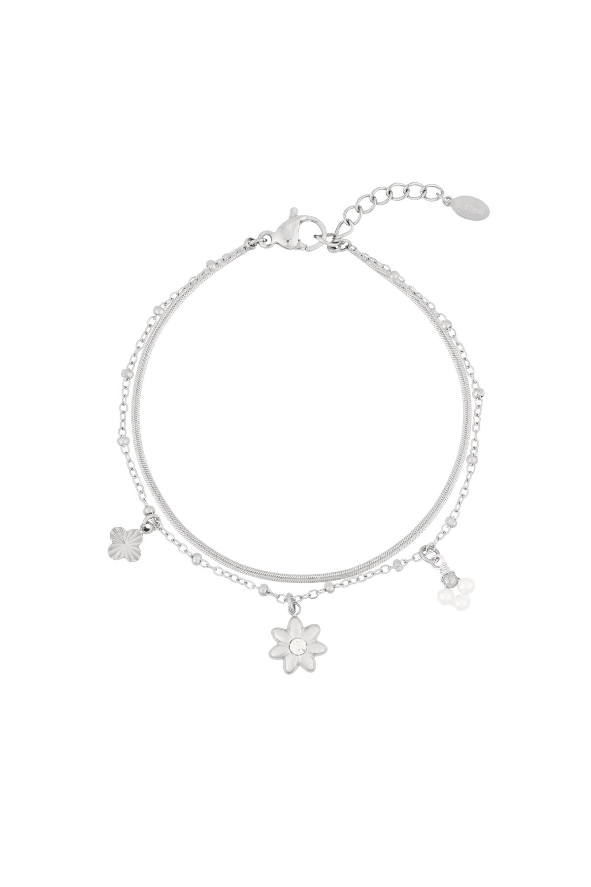 couleur argent Image2