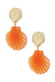 oranje Afbeelding3