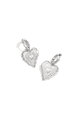Silver Color Picture2